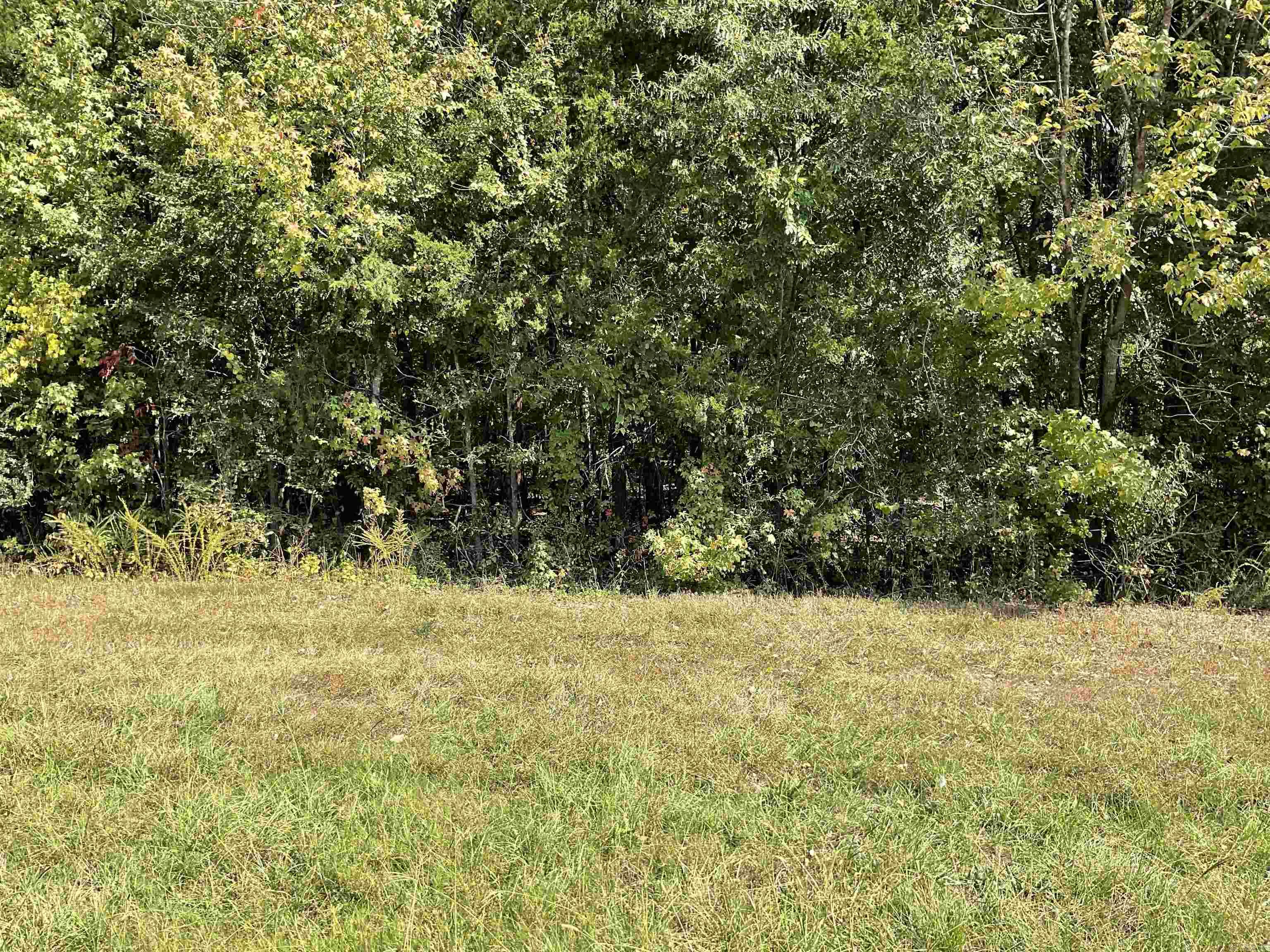 00 Hwy 65 Property Photo 4