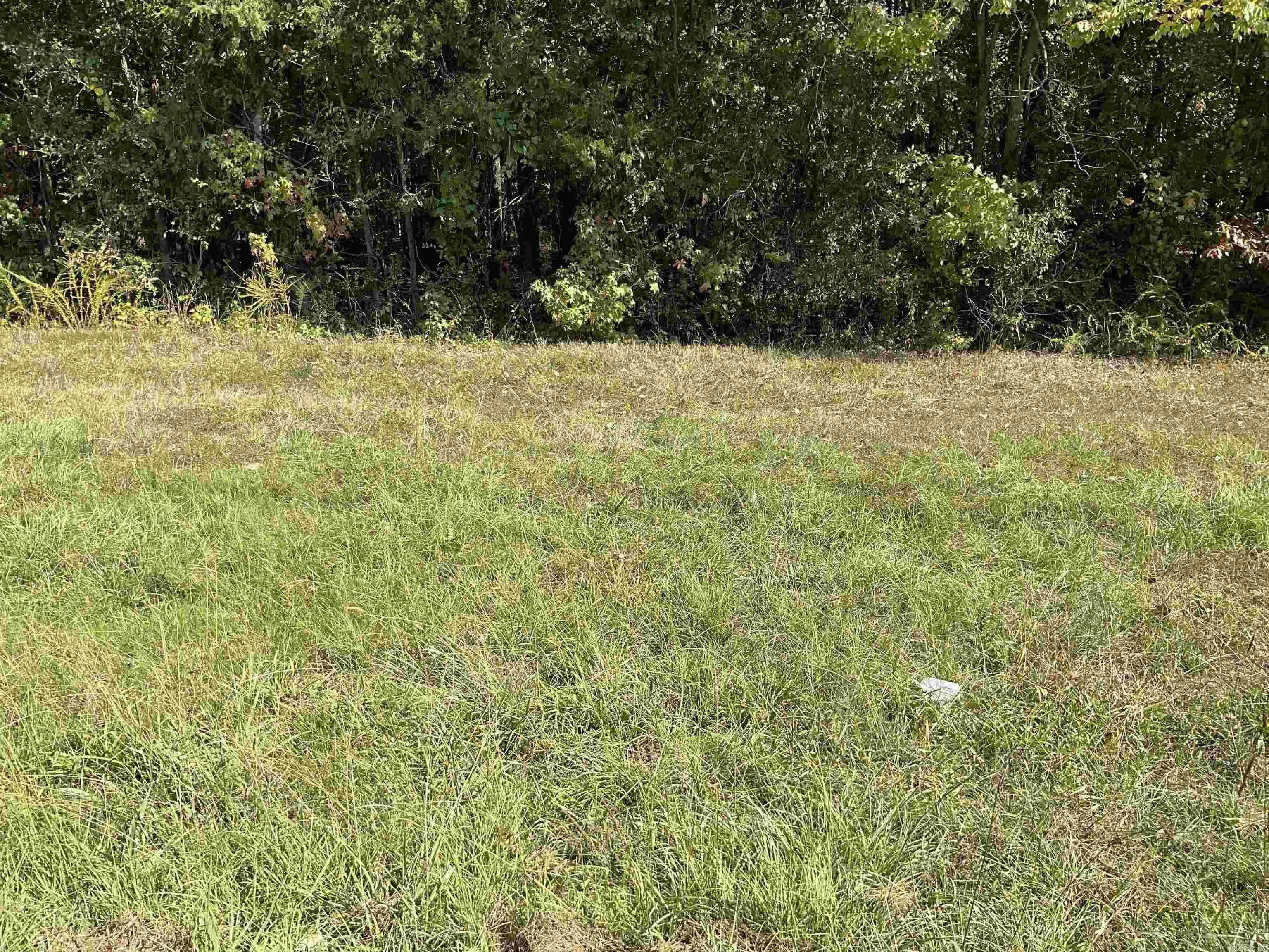 00 Hwy 65 Property Photo 8