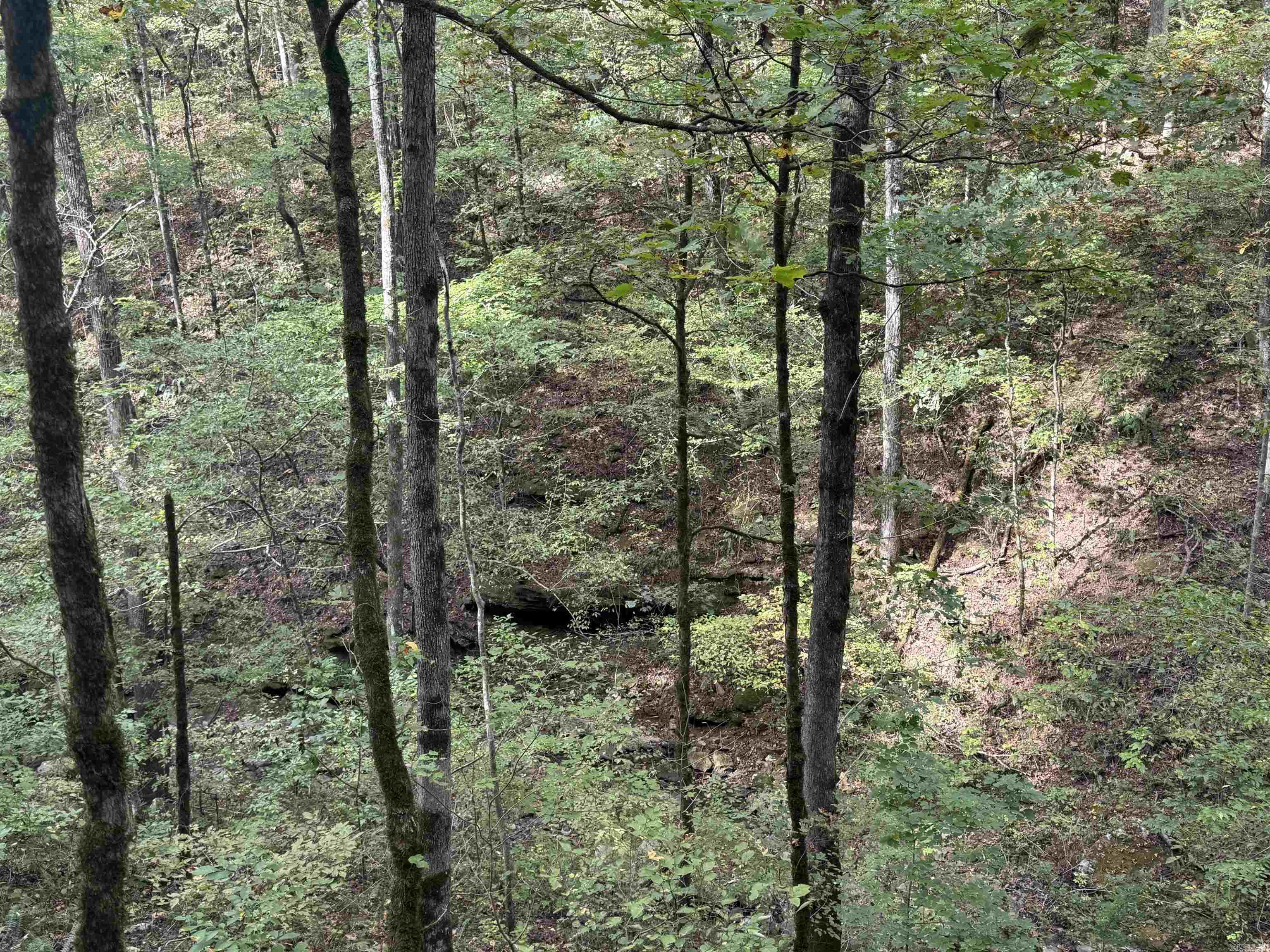 000 Hwy 65 Property Photo 2