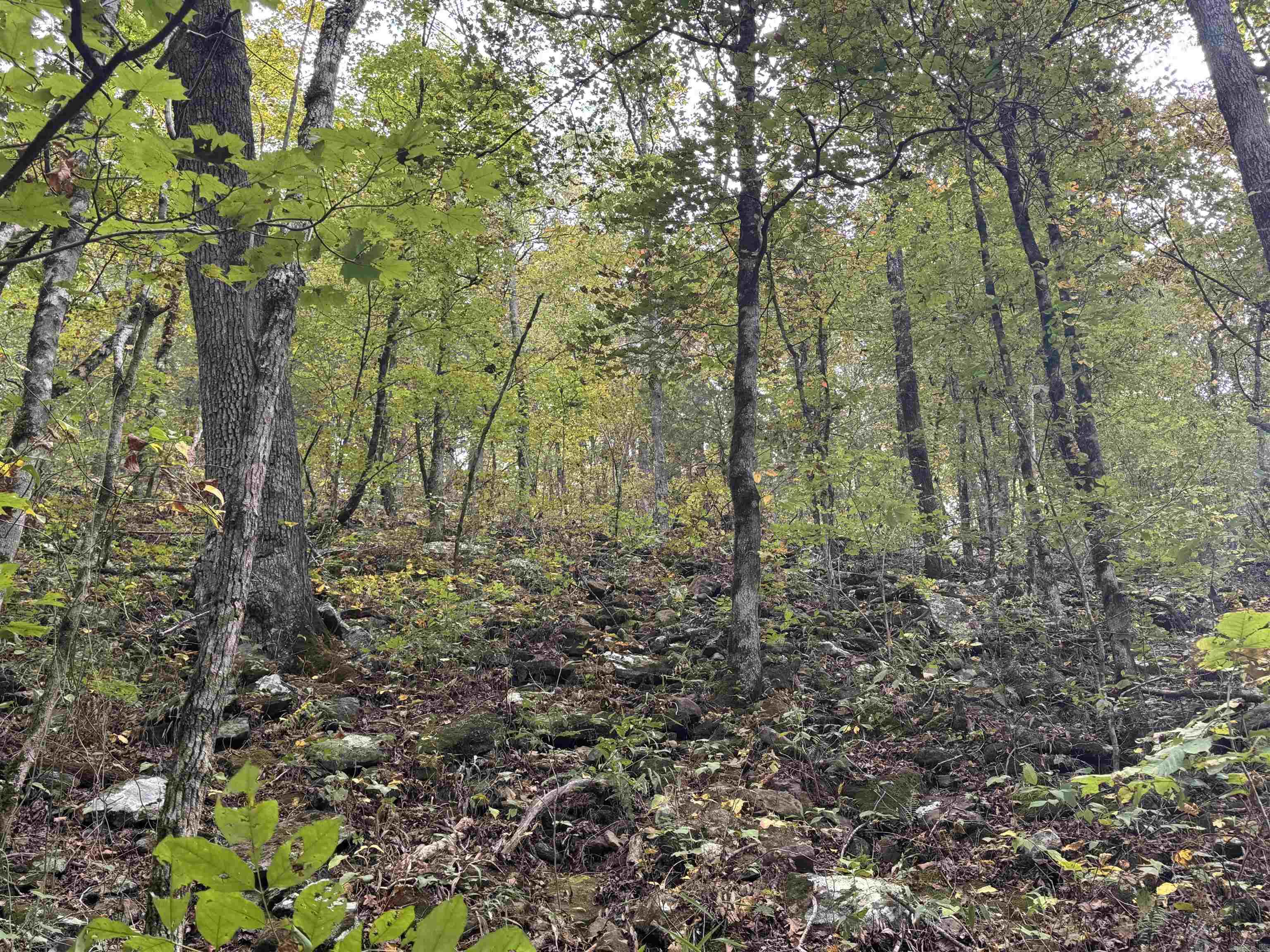 000 Hwy 65 Property Photo 3