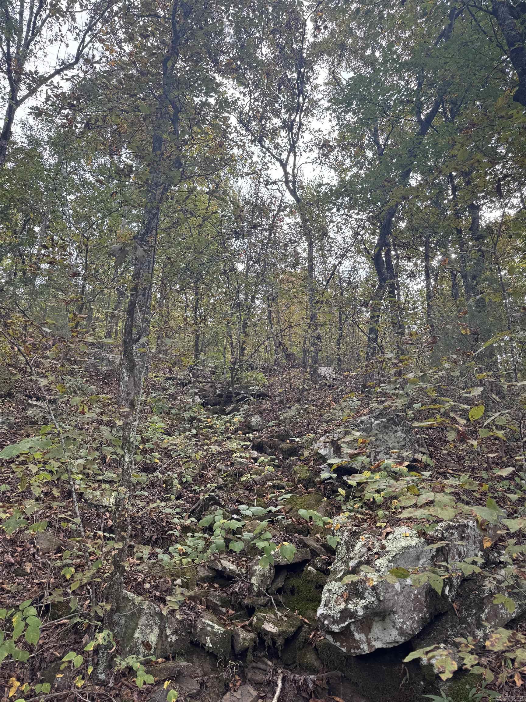000 Hwy 65 Property Photo 17