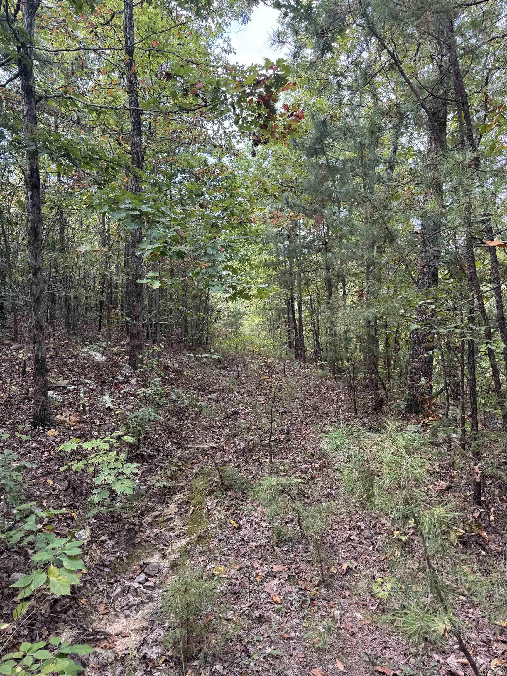 000 Hwy 65 Property Photo 28
