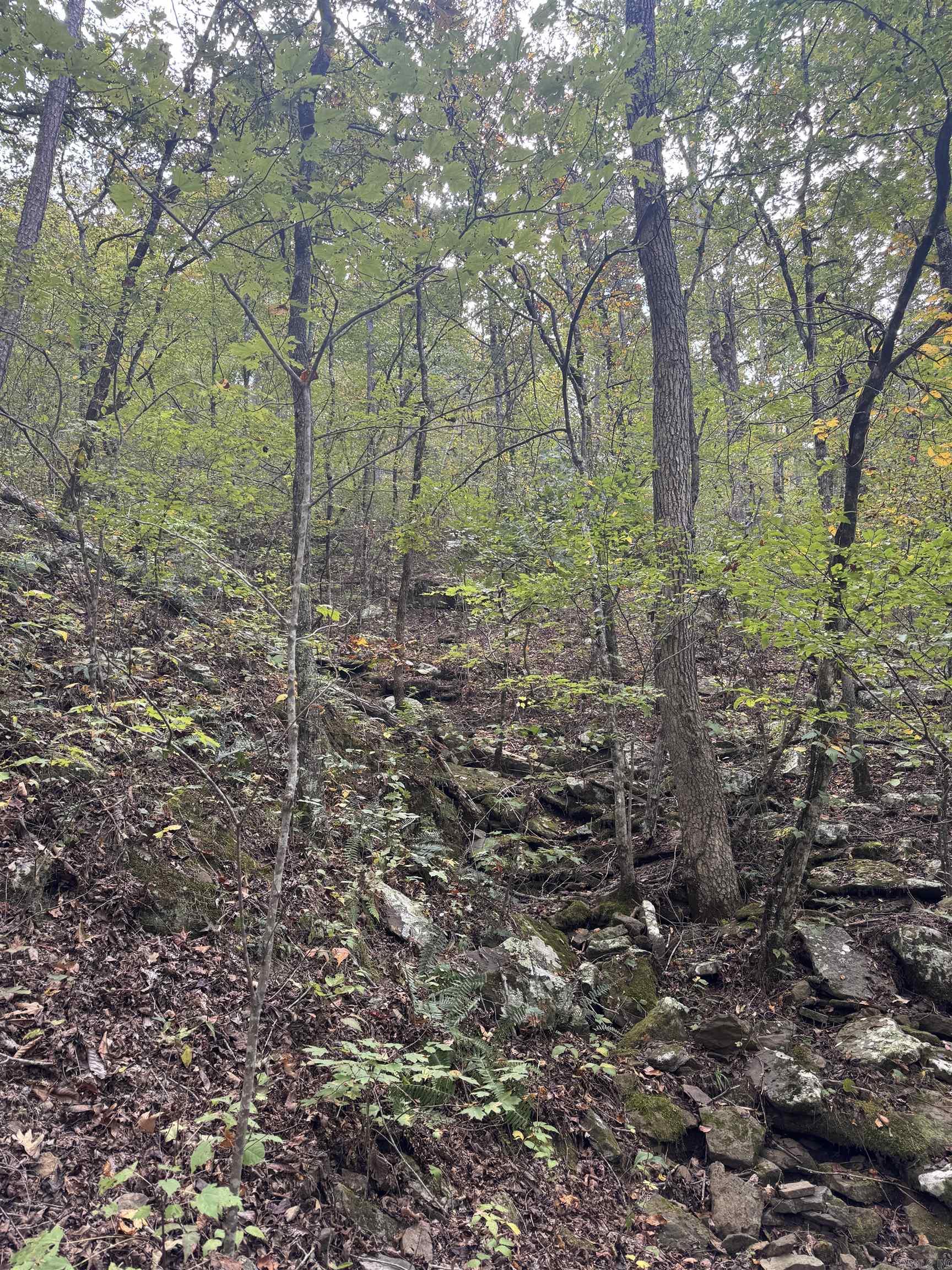 000 Hwy 65 Property Photo 30