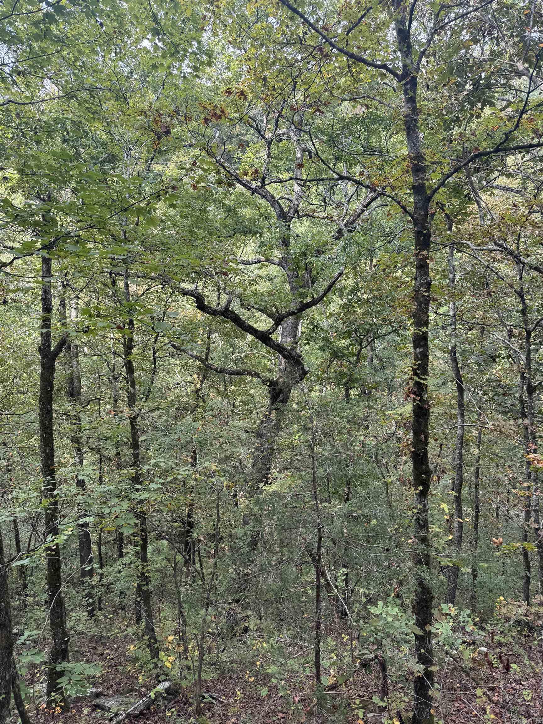 000 Hwy 65 Property Photo 31
