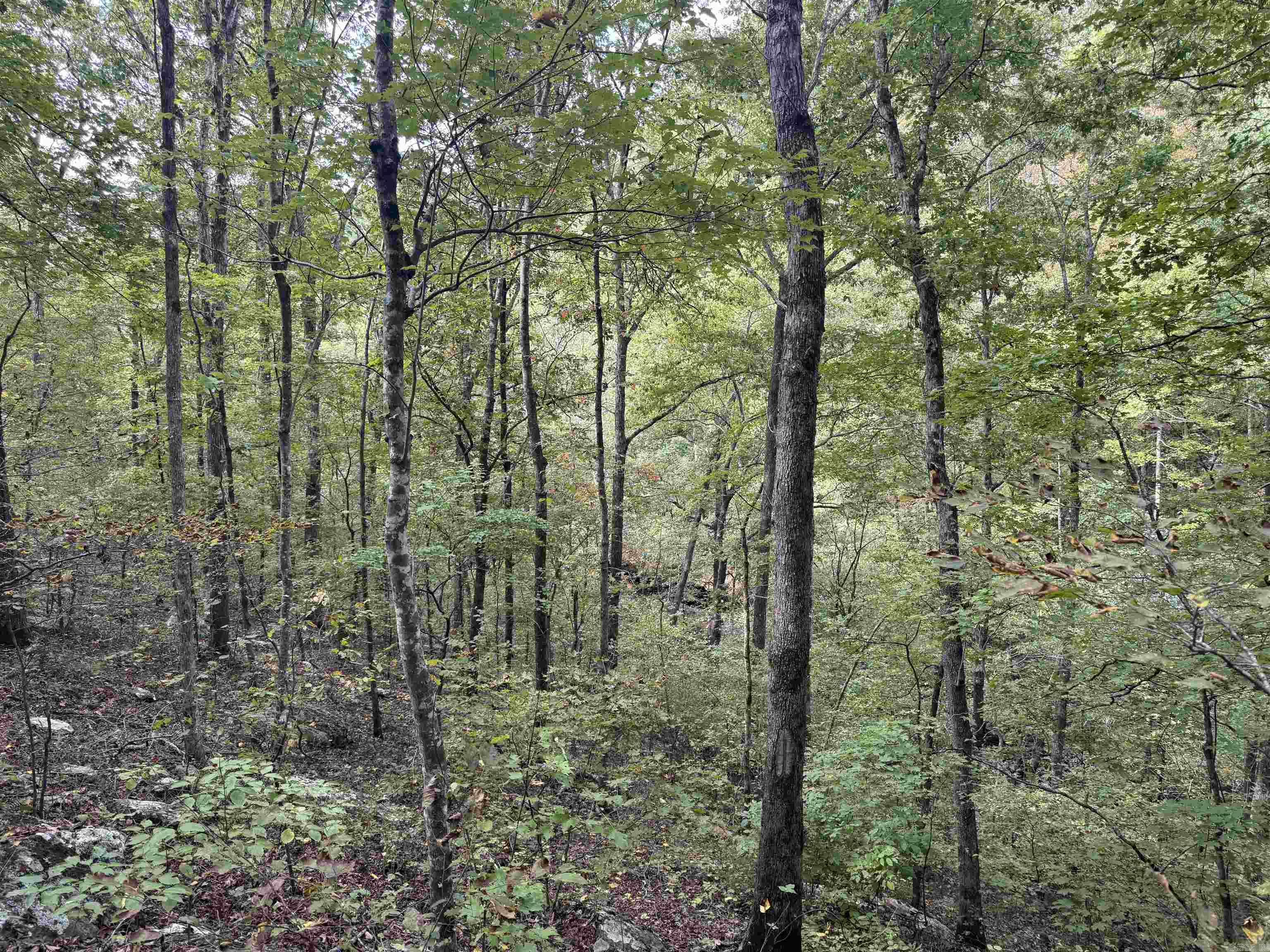 000 Hwy 65 Property Photo 34