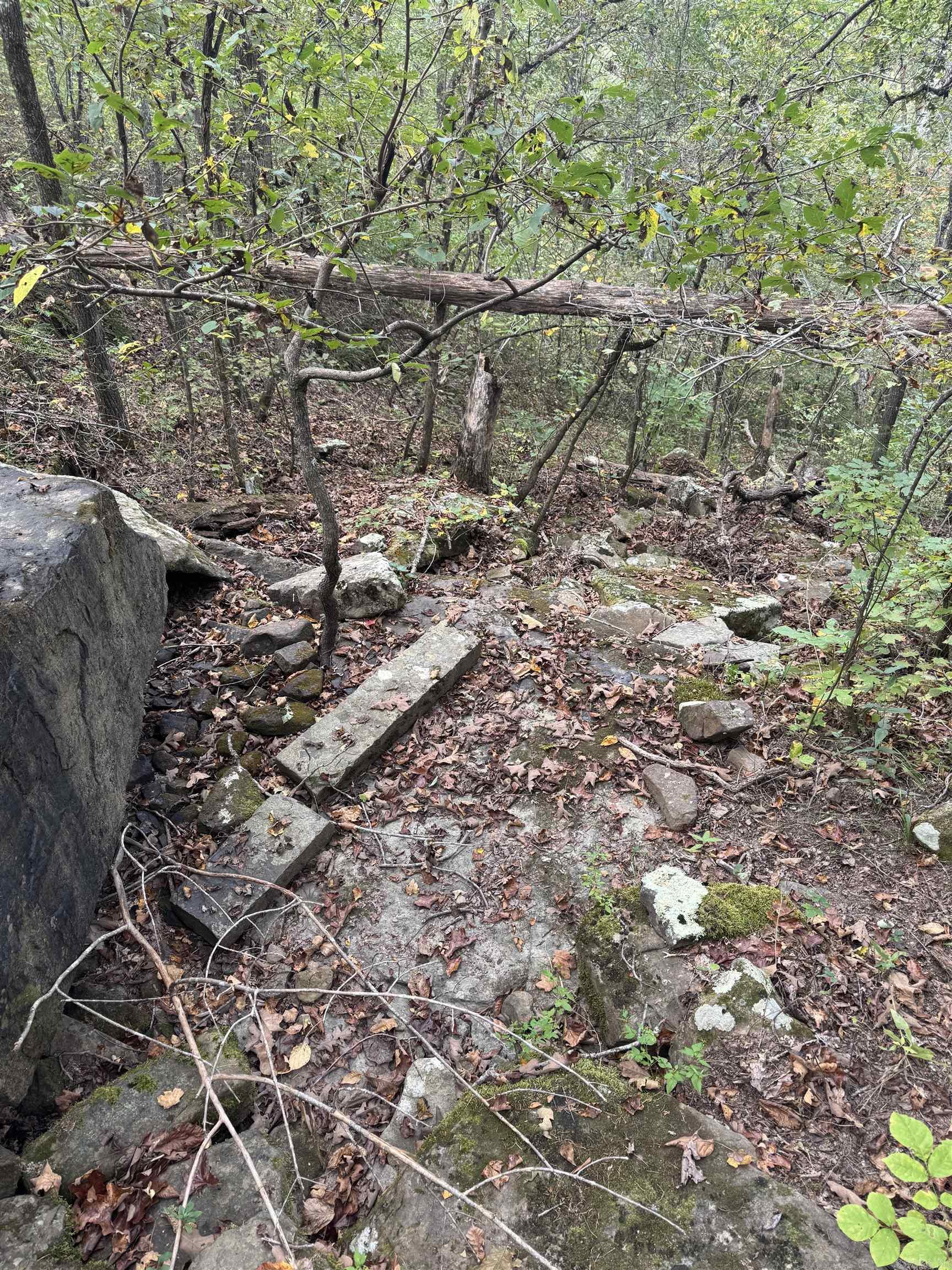 000 Hwy 65 Property Photo 37