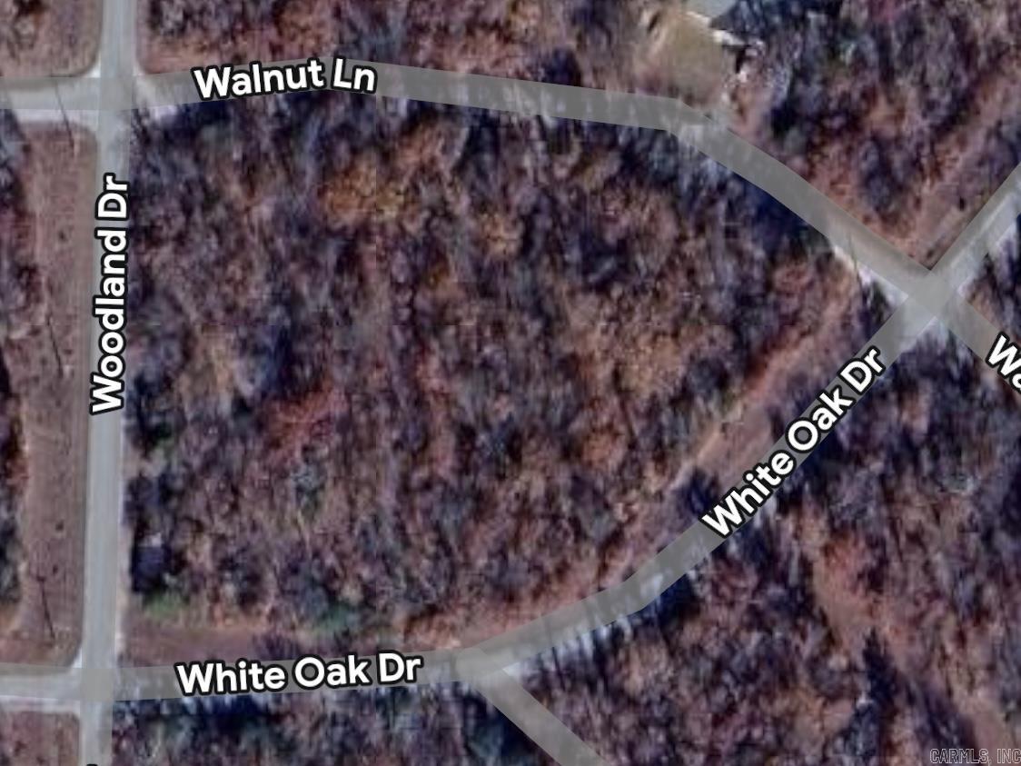 709 Walnut Lane