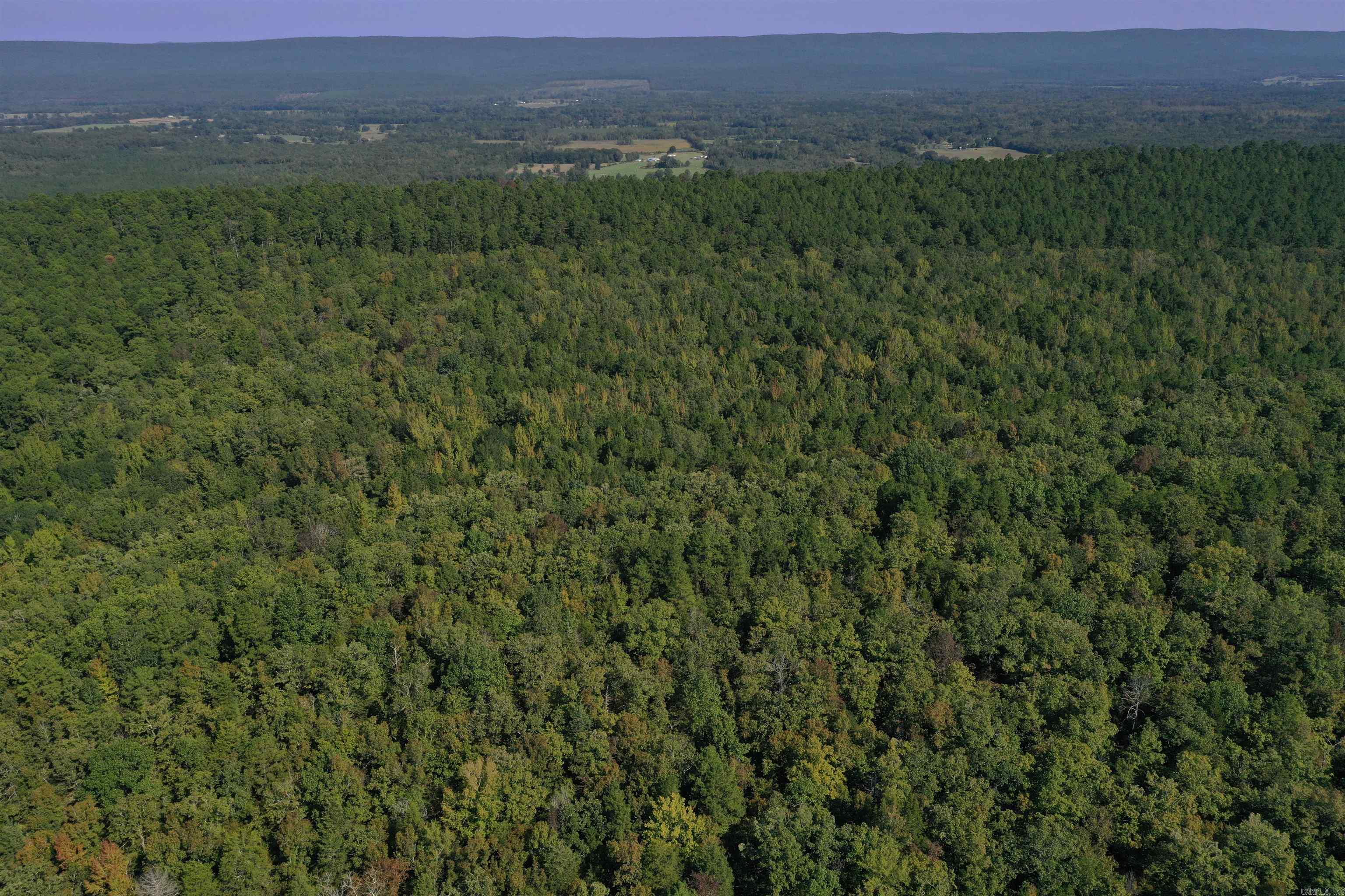 0000 Fs Rd 795 Property Photo 6