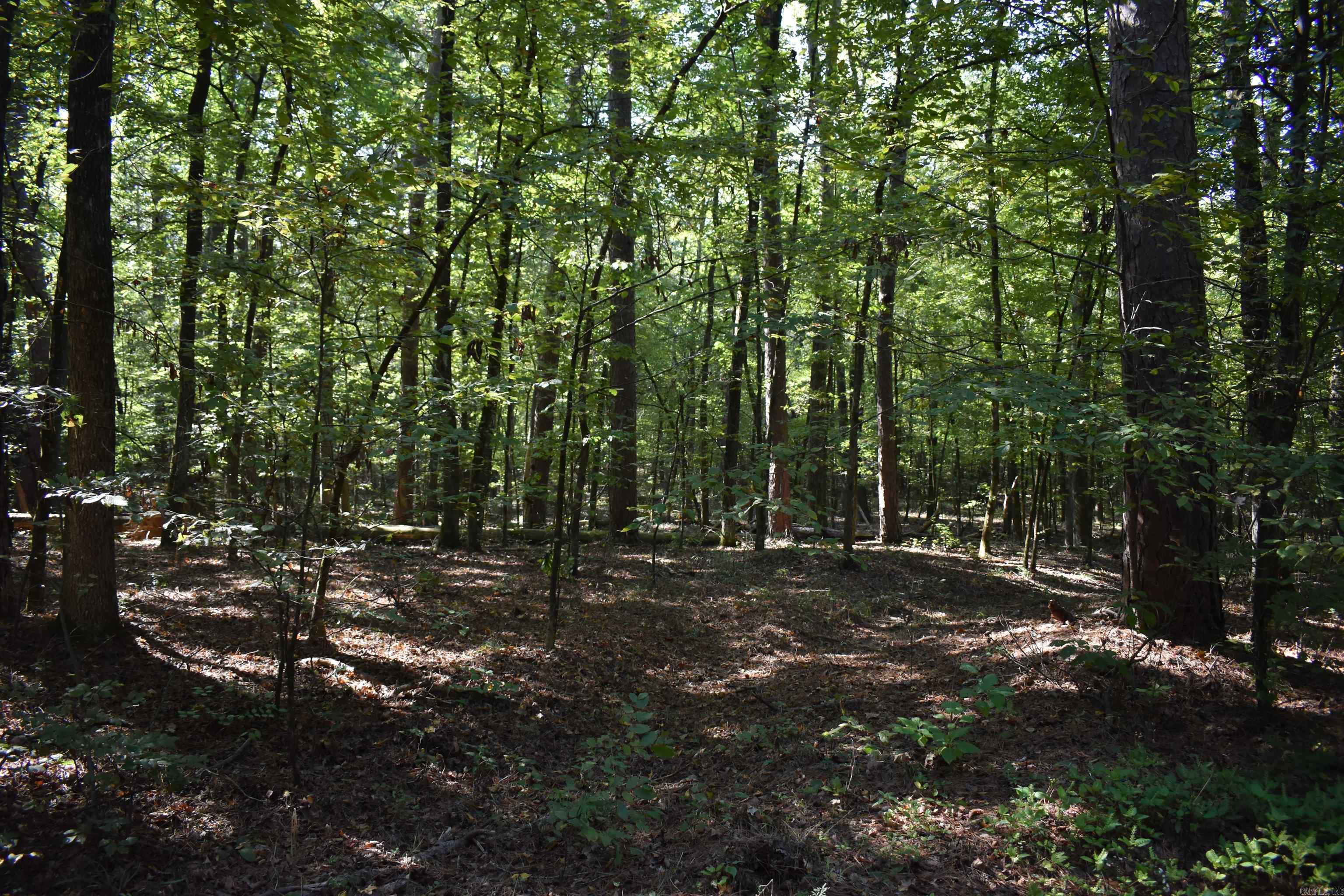 0000 Fs Rd 795 Property Photo 18