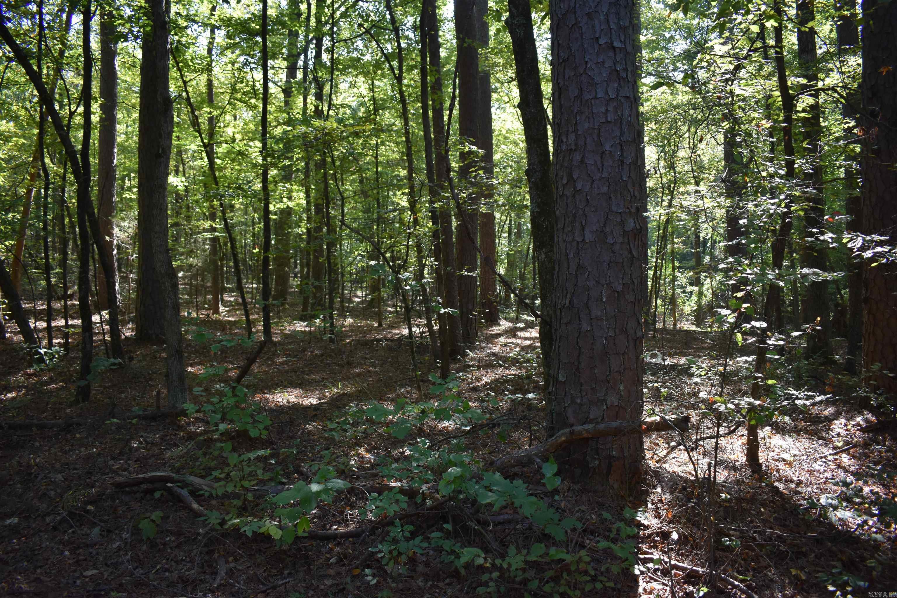 0000 Fs Rd 795 Property Photo 19