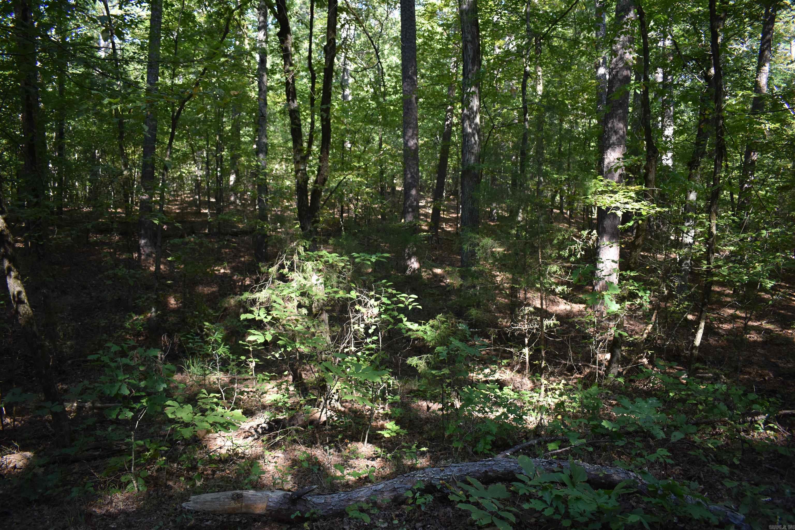 0000 Fs Rd 795 Property Photo 22