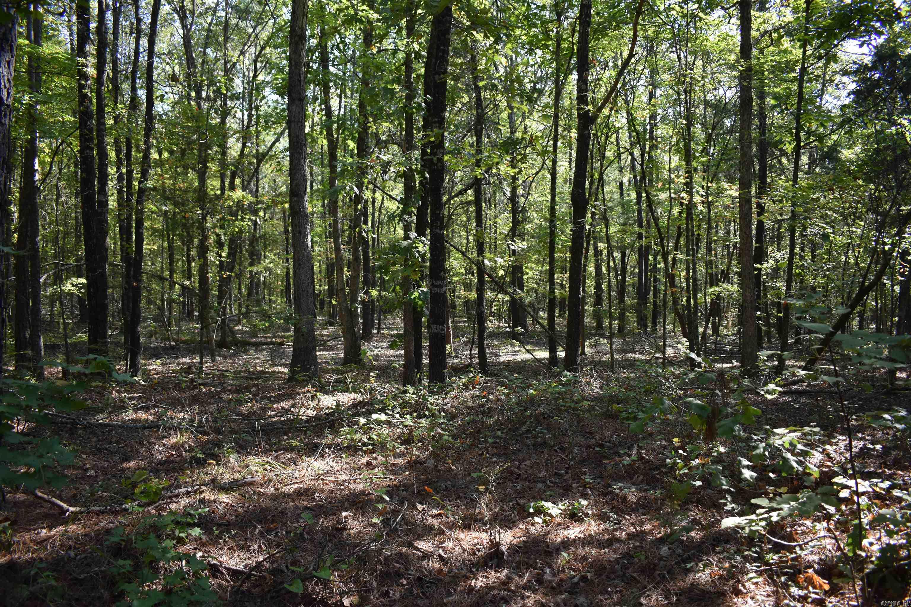 0000 Fs Rd 795 Property Photo 24
