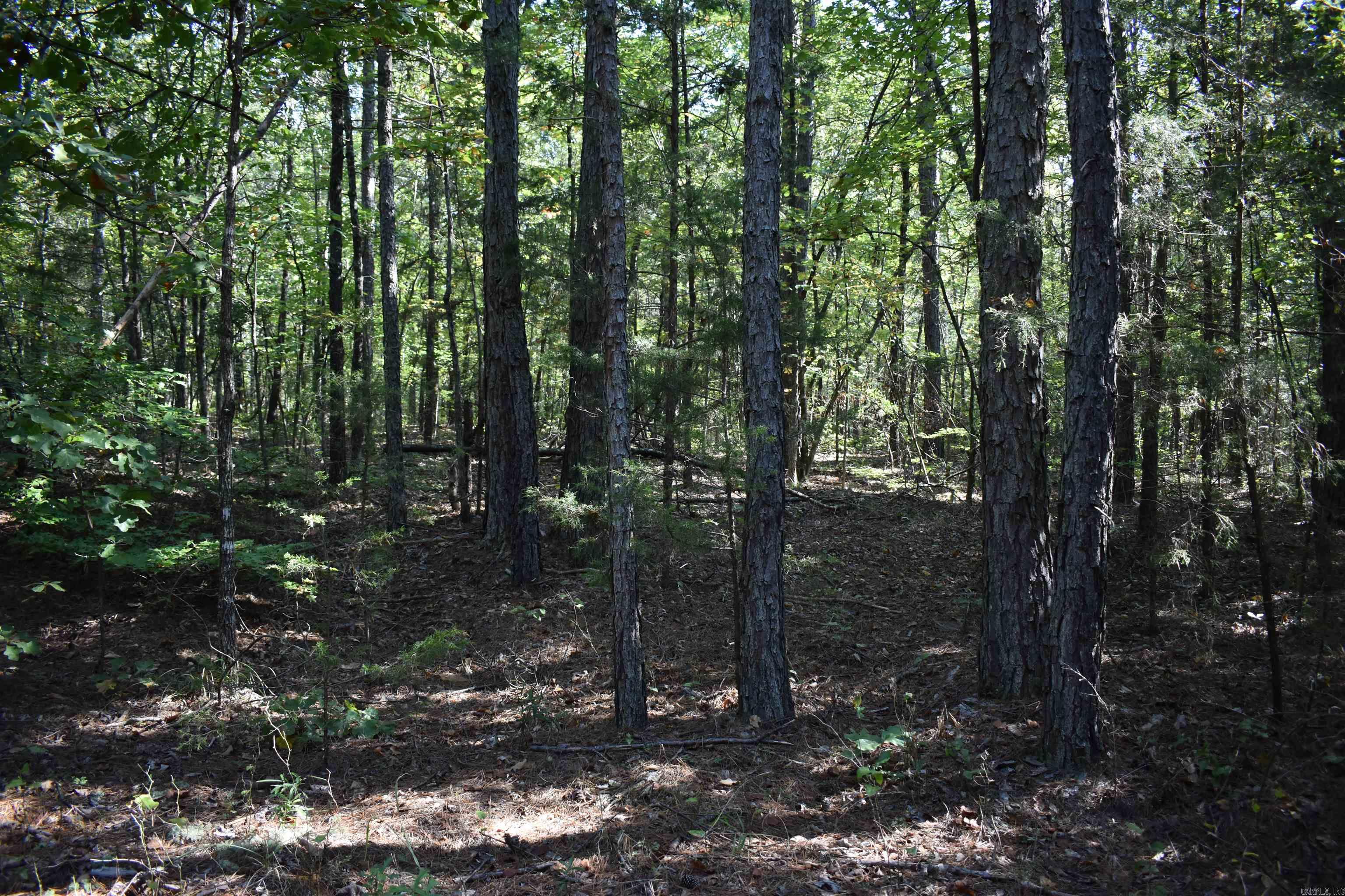 0000 Fs Rd 795 Property Photo 25