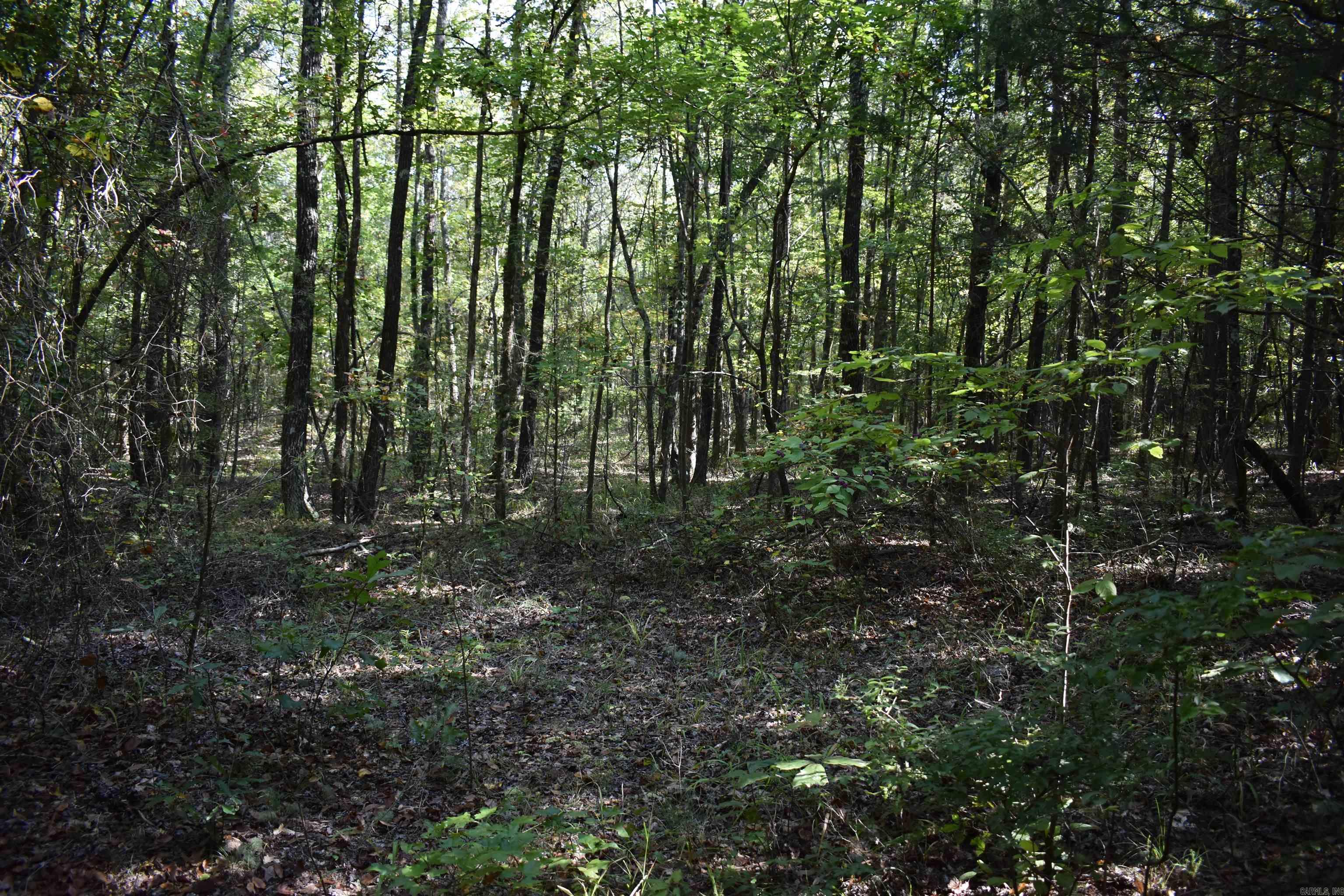 0000 Fs Rd 795 Property Photo 26