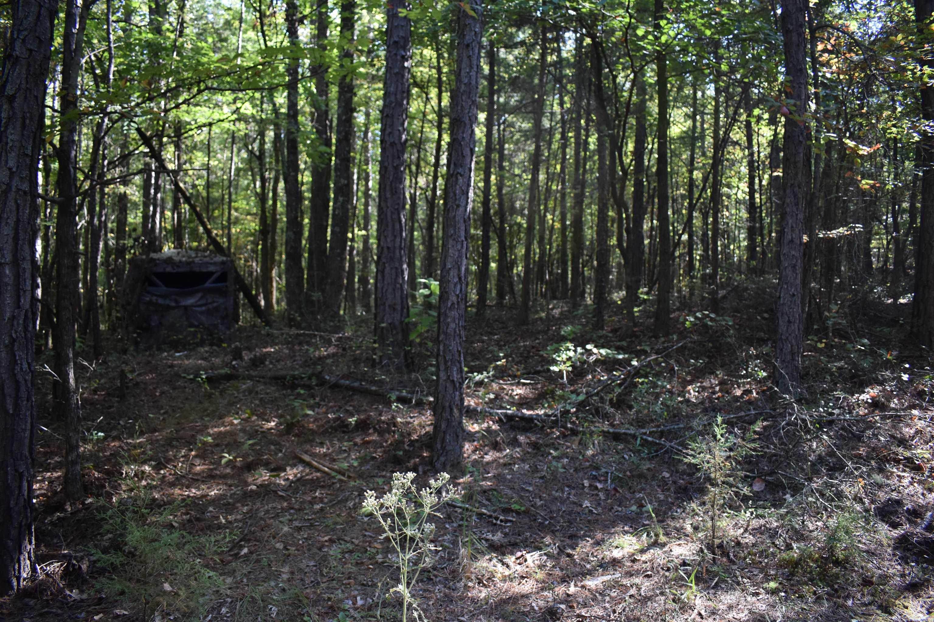 0000 Fs Rd 795 Property Photo 27