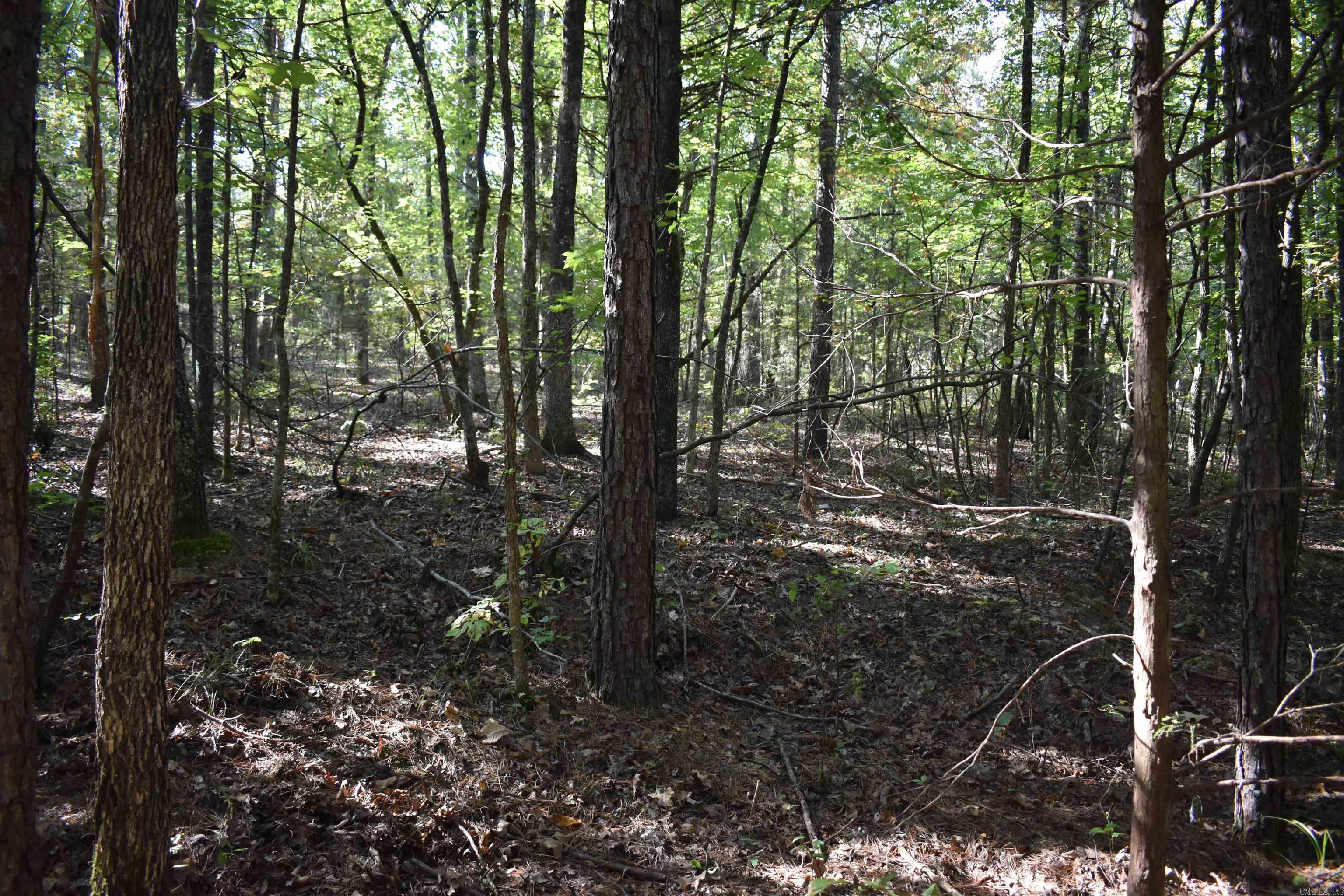 0000 Fs Rd 795 Property Photo 29