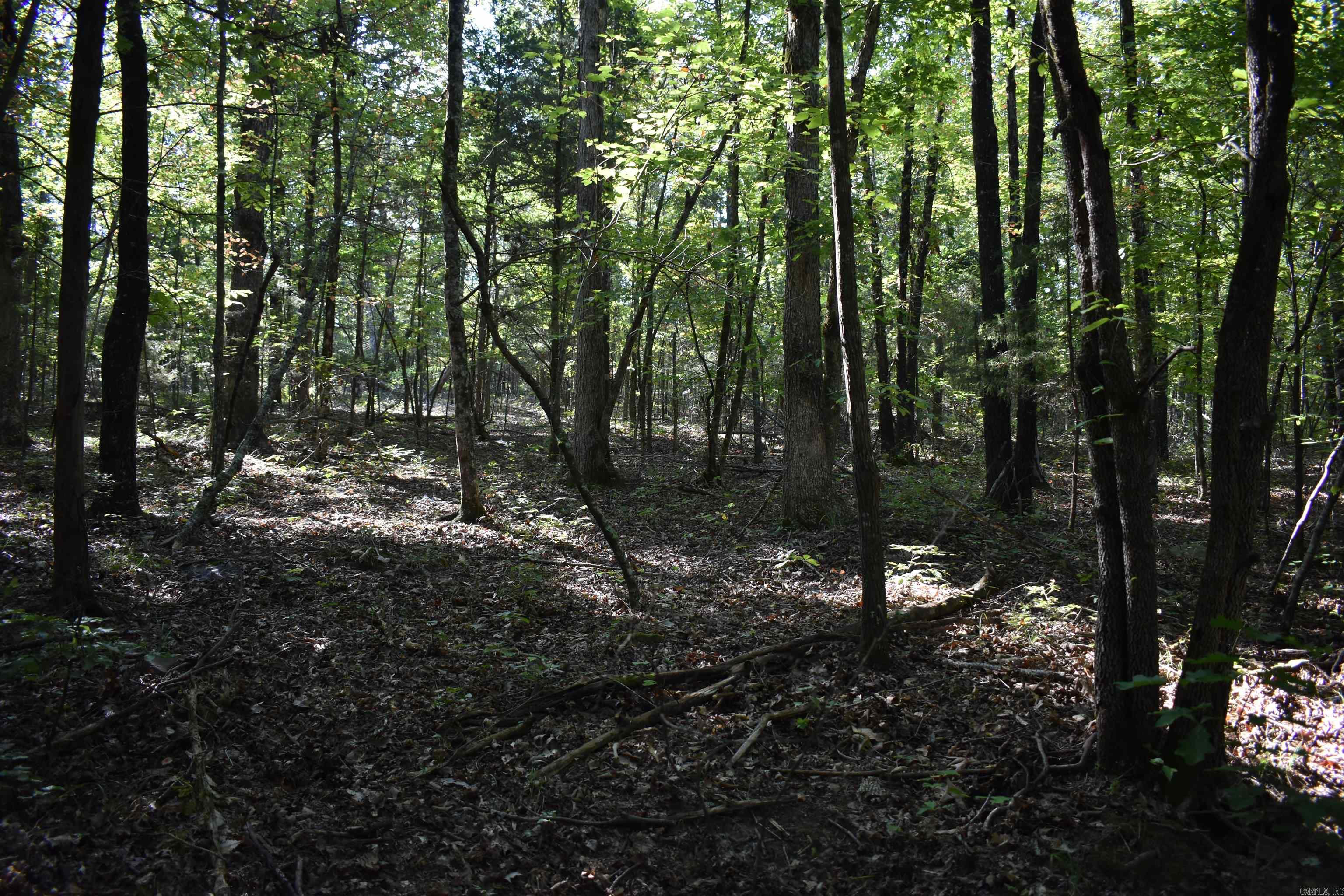 0000 Fs Rd 795 Property Photo 30