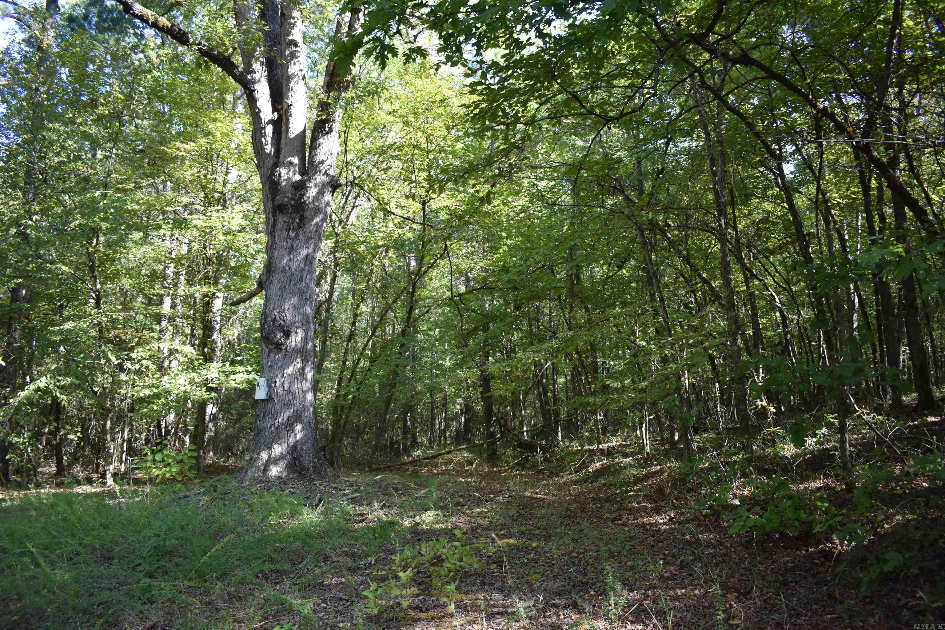 0000 Fs Rd 795 Property Photo 31