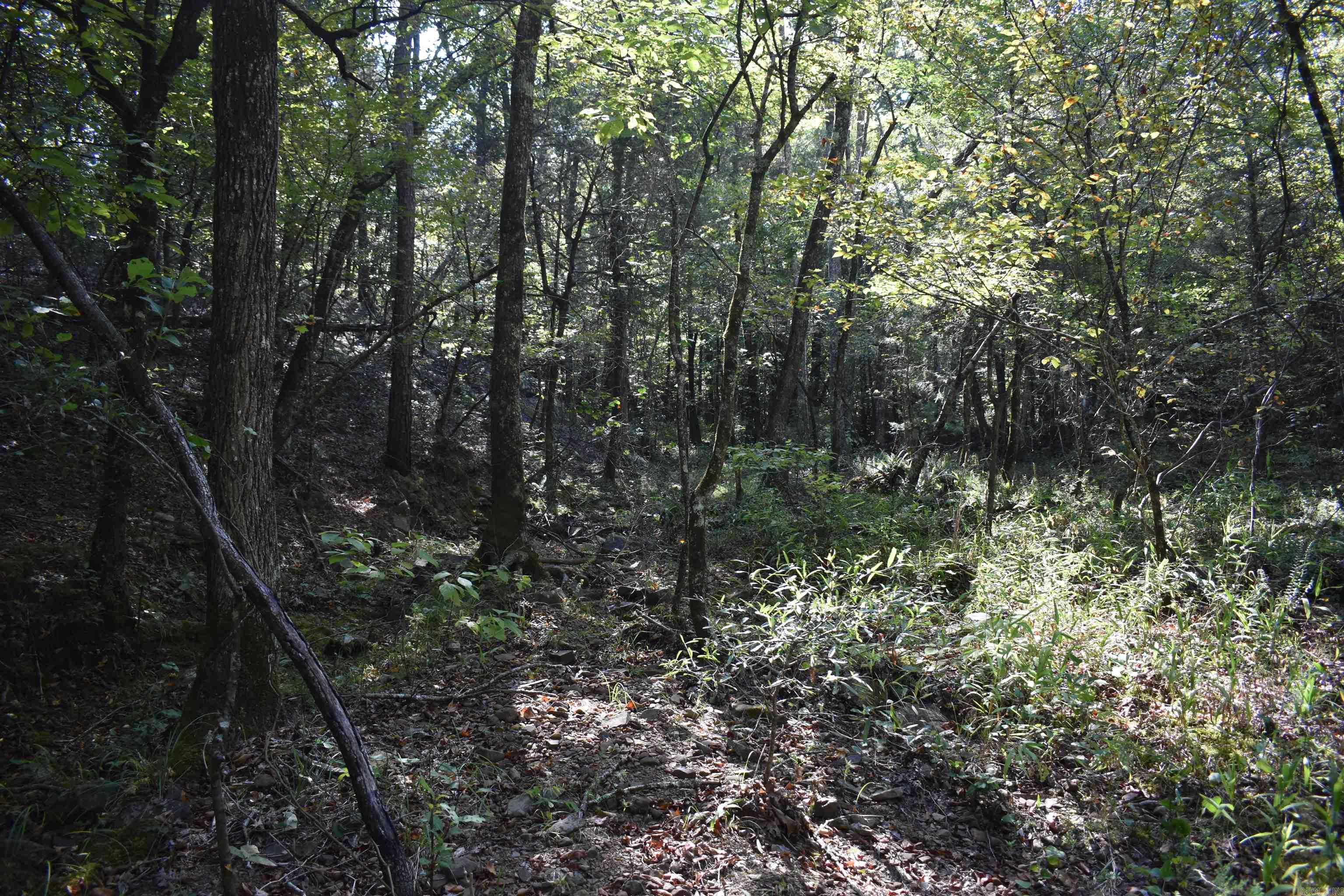 0000 Fs Rd 795 Property Photo 32