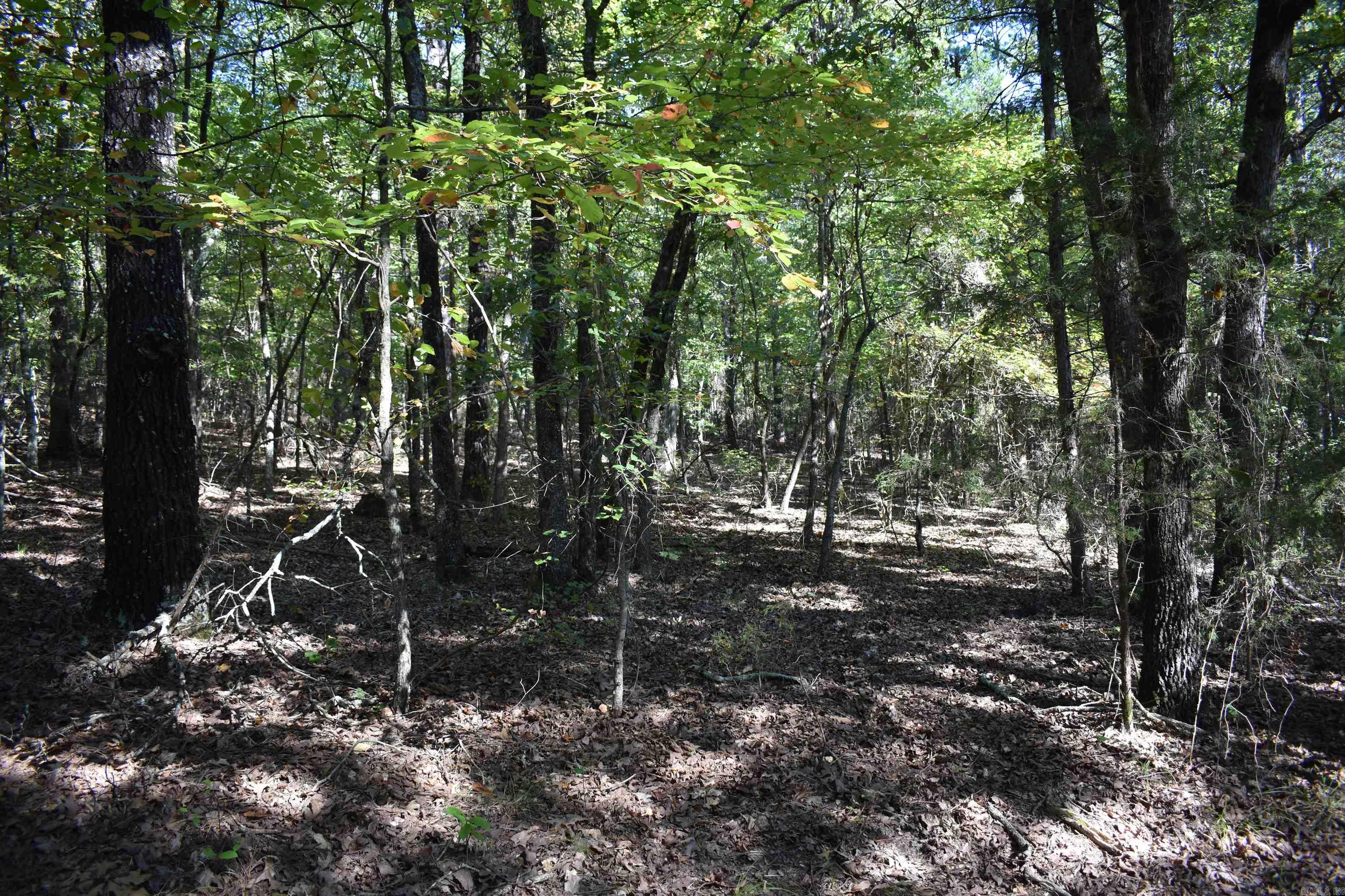 0000 Fs Rd 795 Property Photo 33