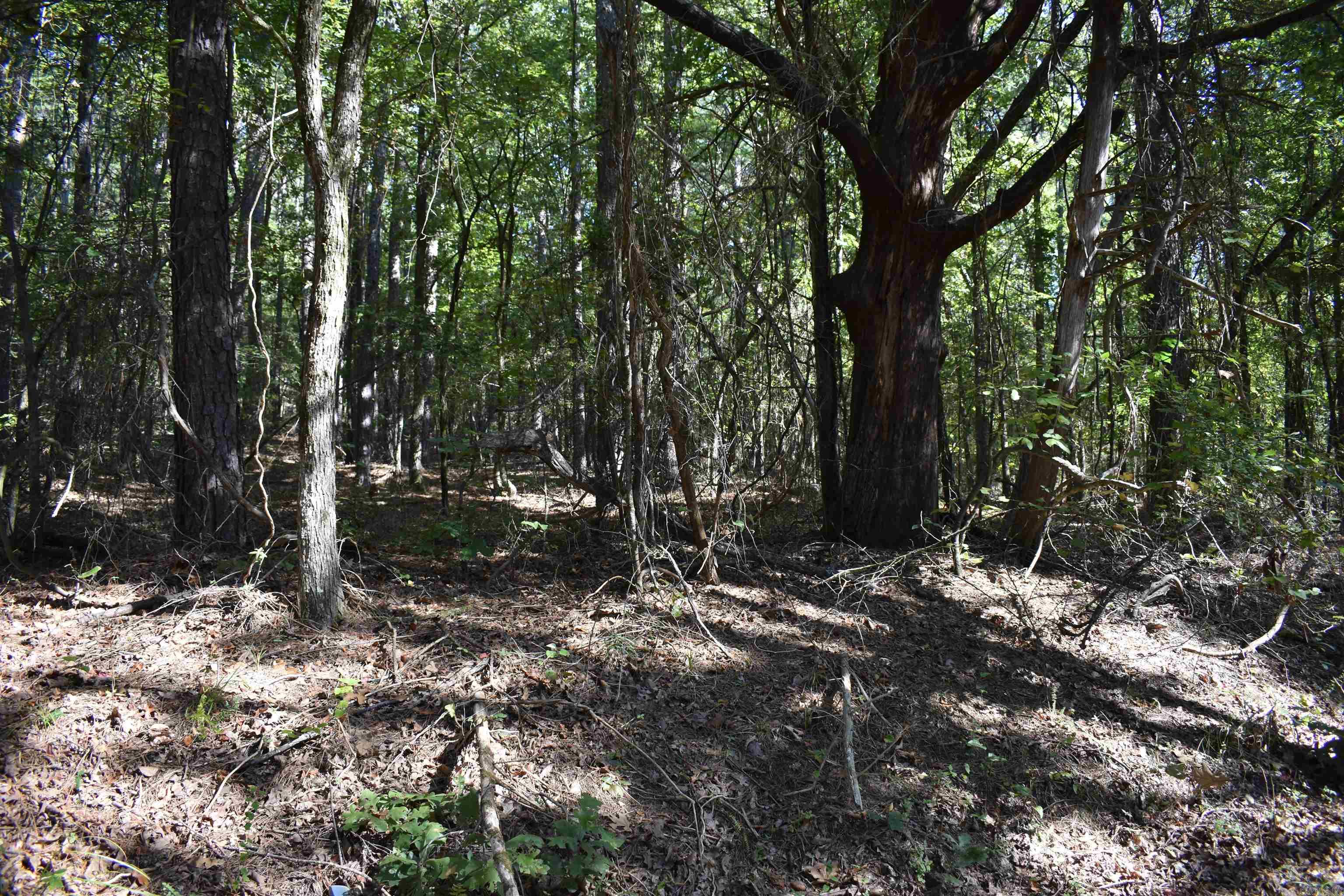 0000 Fs Rd 795 Property Photo 34