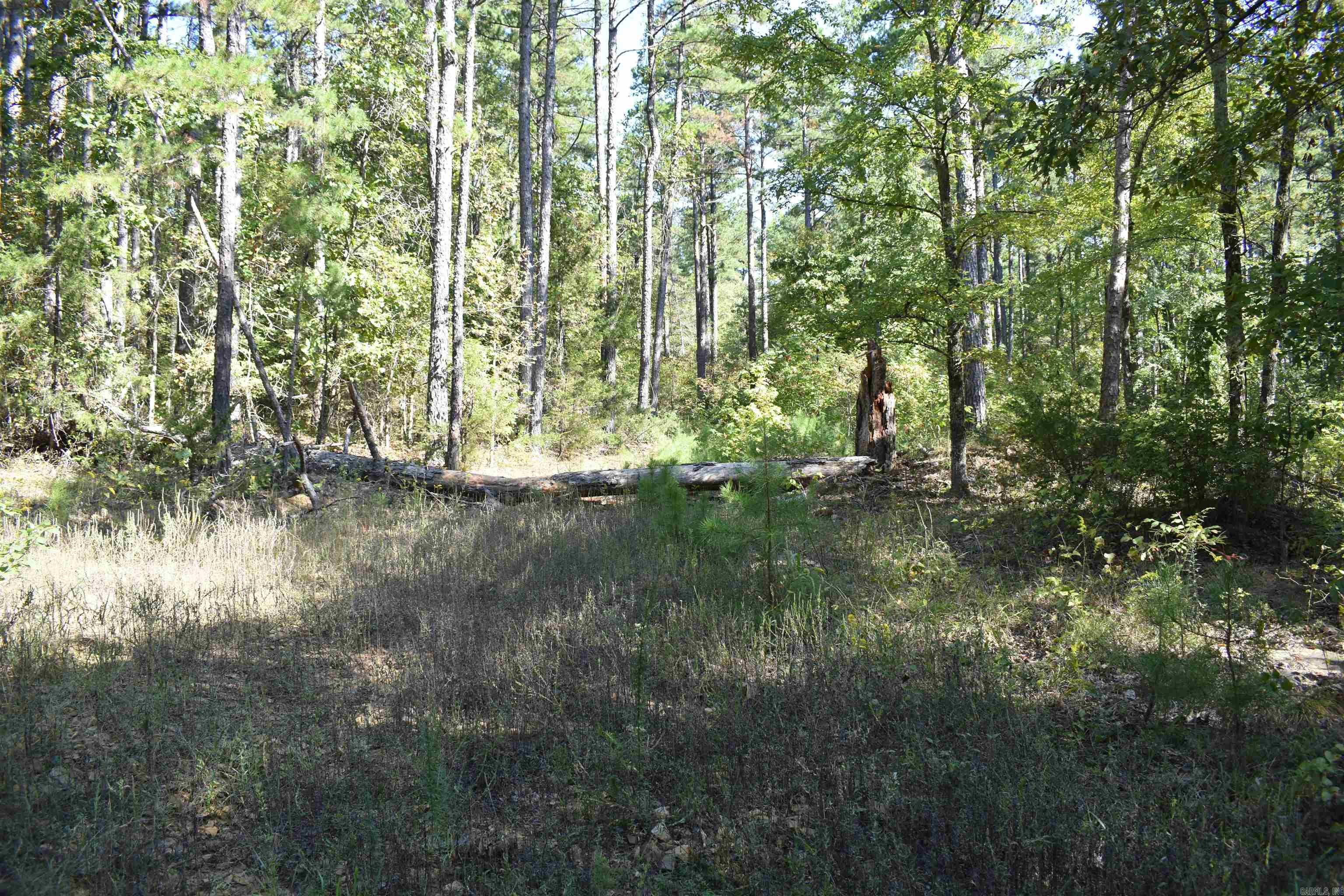 0000 Fs Rd 795 Property Photo 35