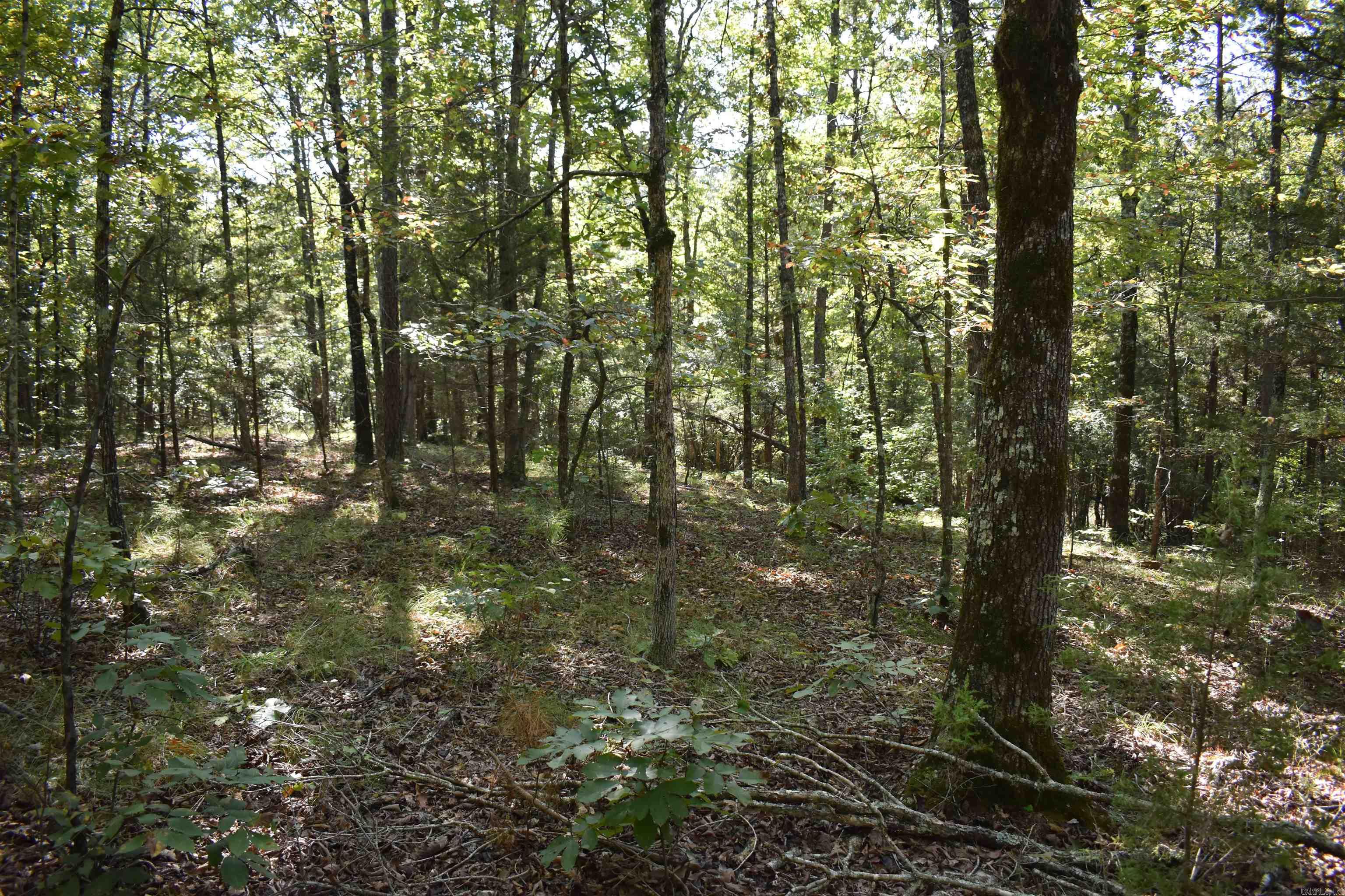 0000 Fs Rd 795 Property Photo 38