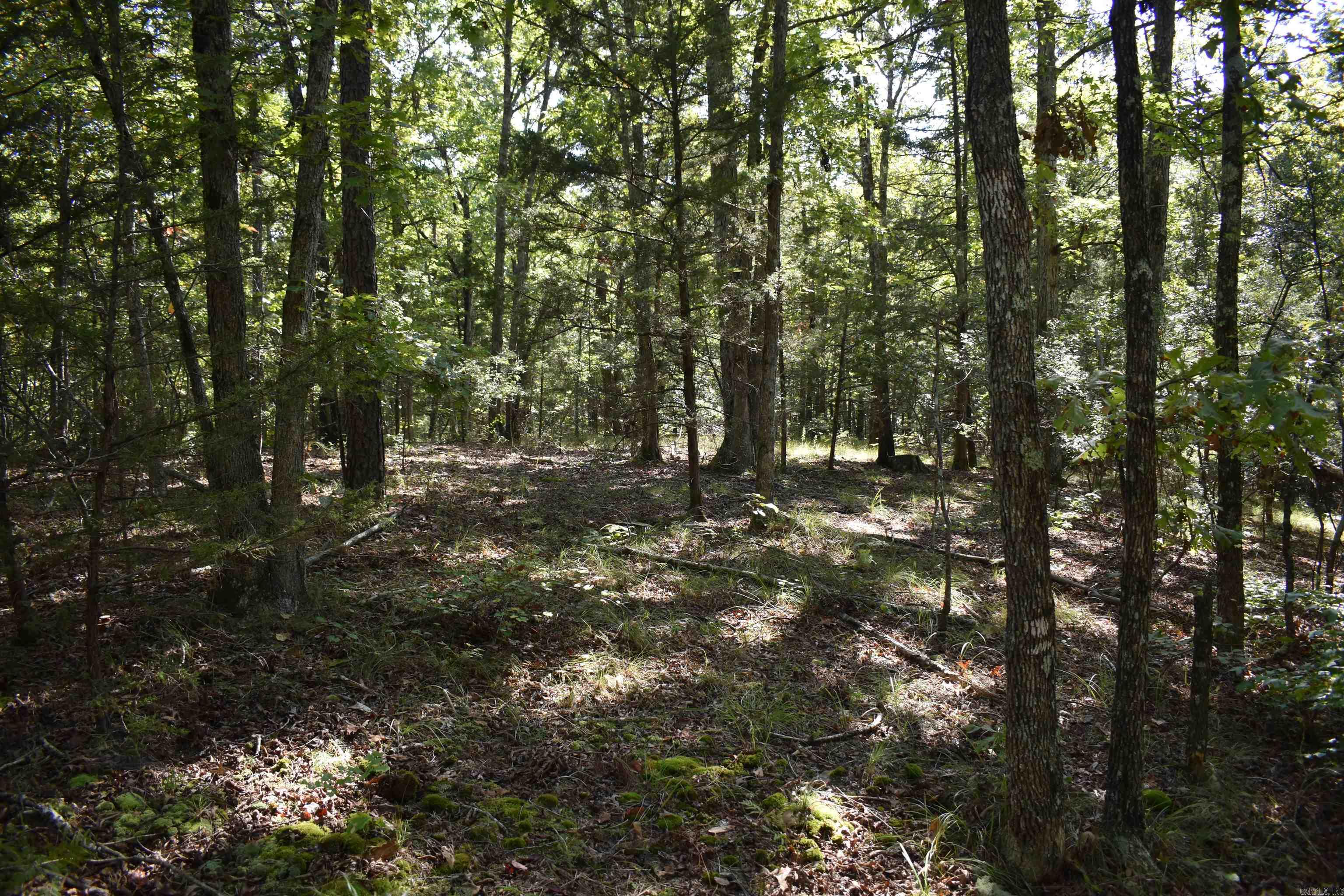 0000 Fs Rd 795 Property Photo 40