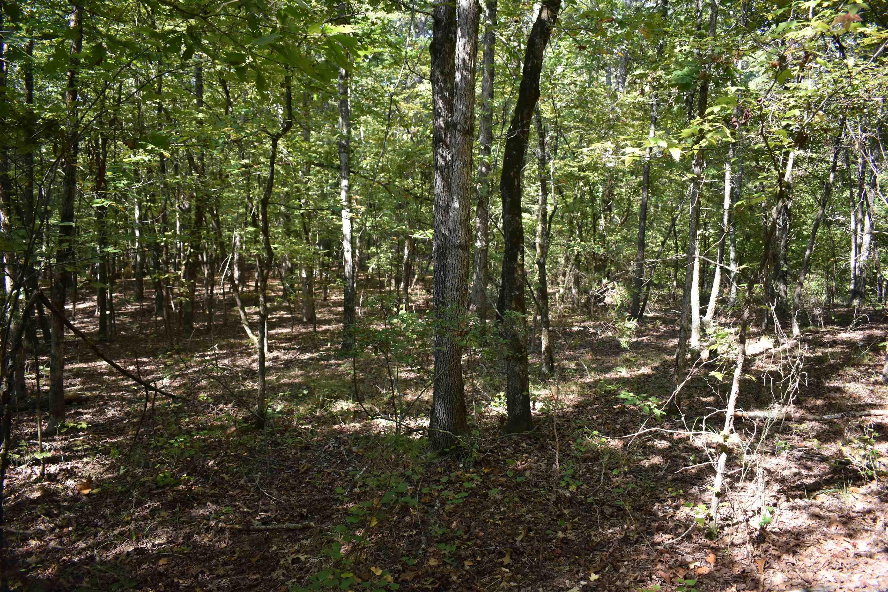 0000 Fs Rd 795 Property Photo 41