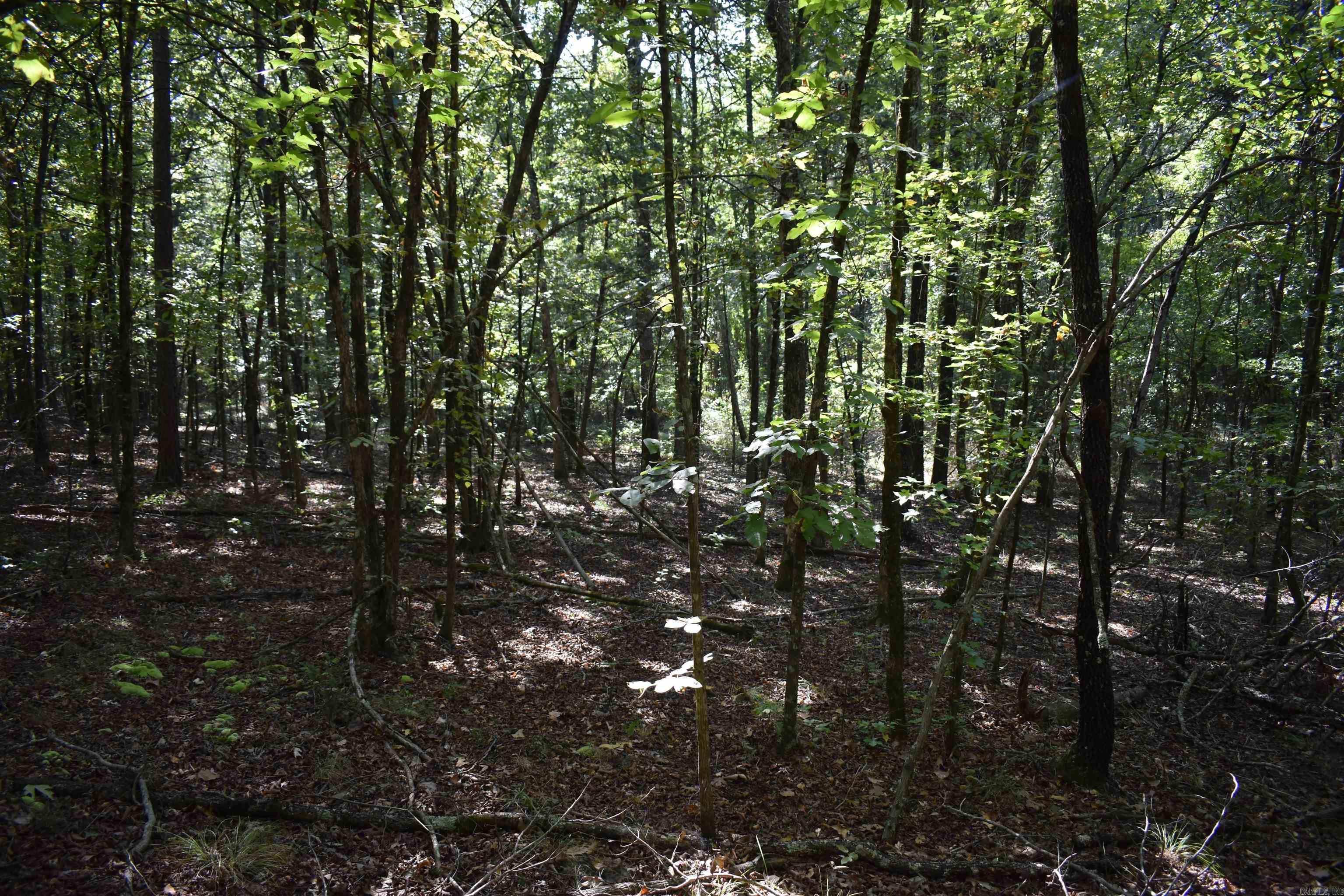 0000 Fs Rd 795 Property Photo 42