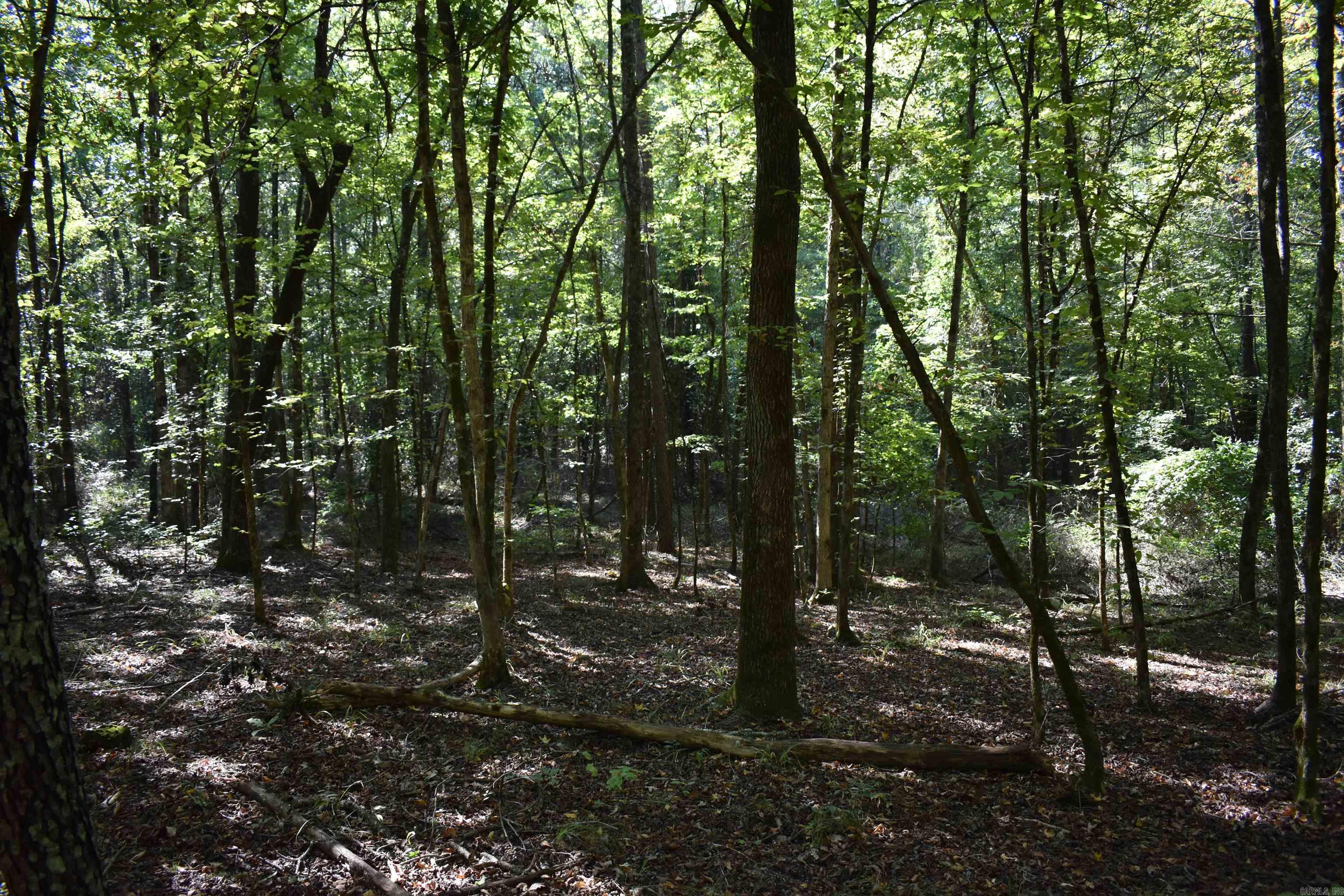 0000 Fs Rd 795 Property Photo 43
