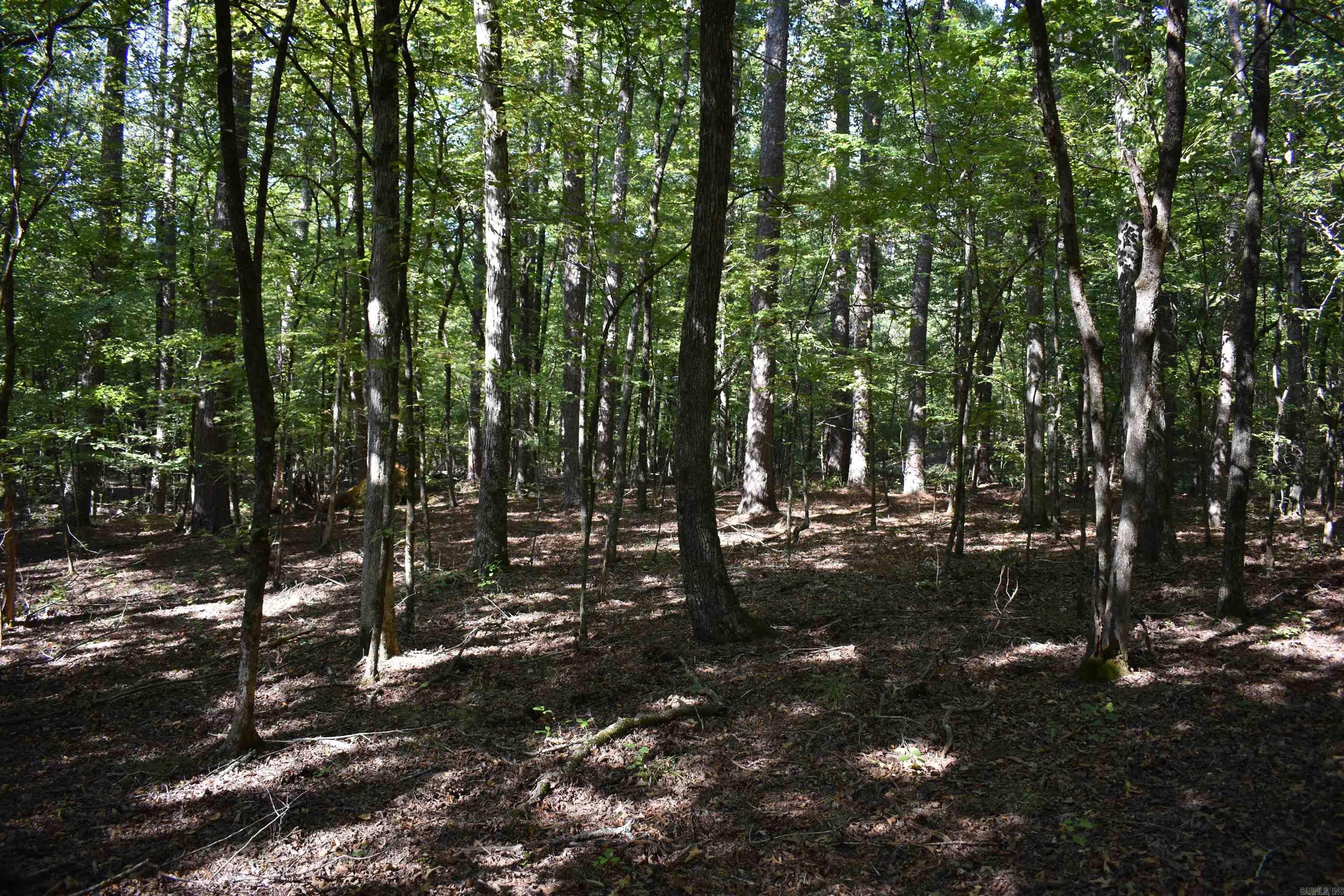0000 Fs Rd 795 Property Photo 44