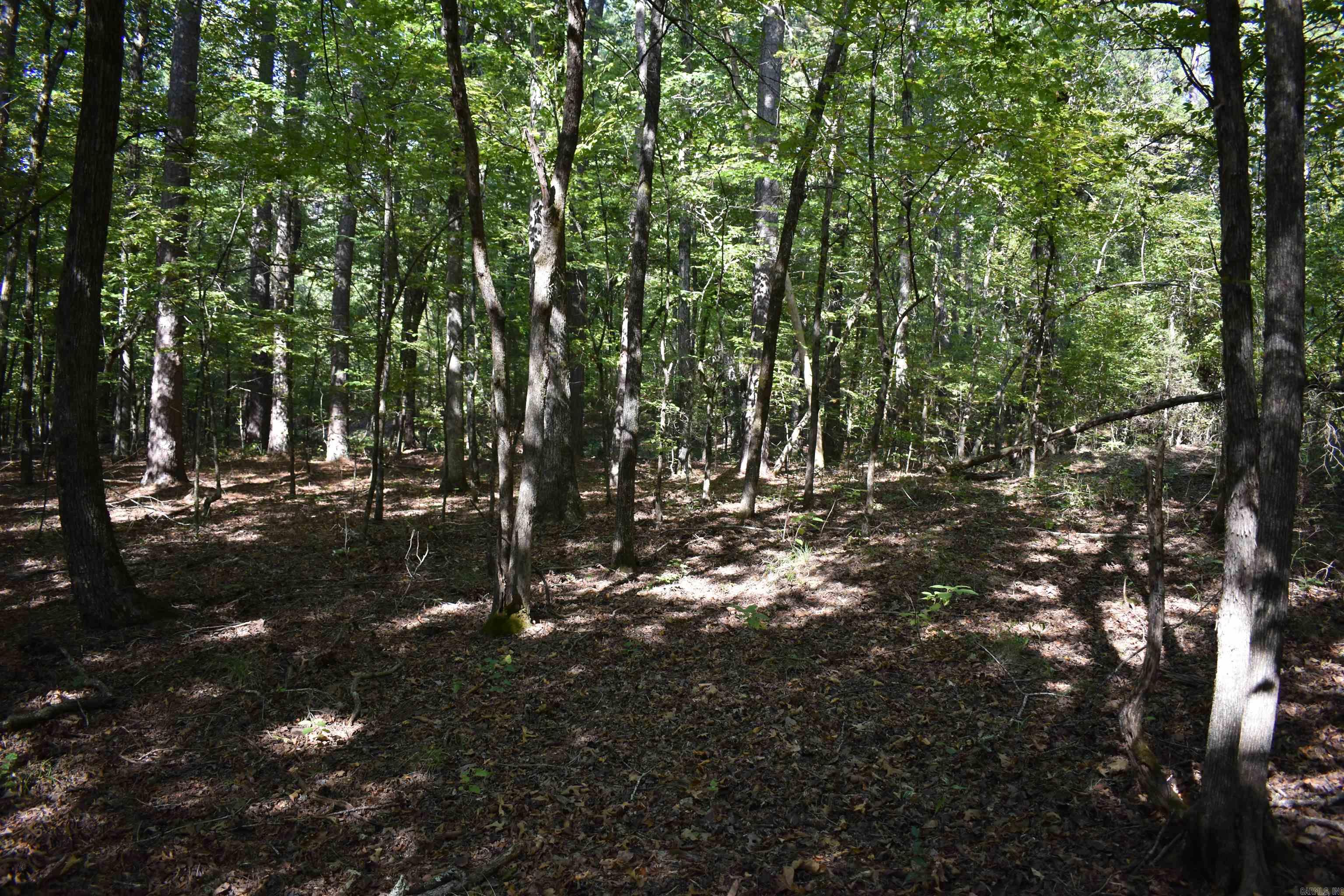 0000 Fs Rd 795 Property Photo 45