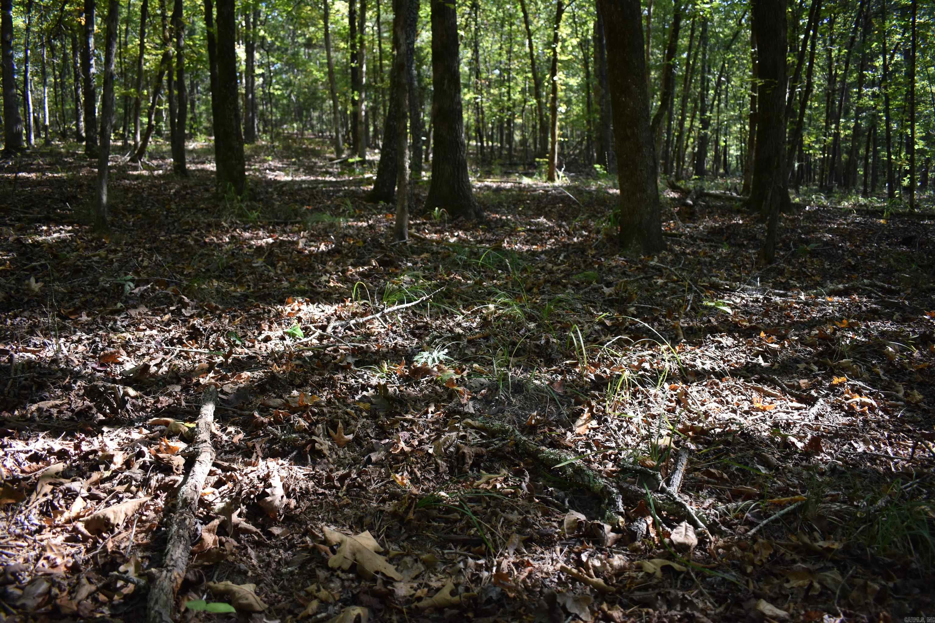 0000 Fs Rd 795 Property Photo 46