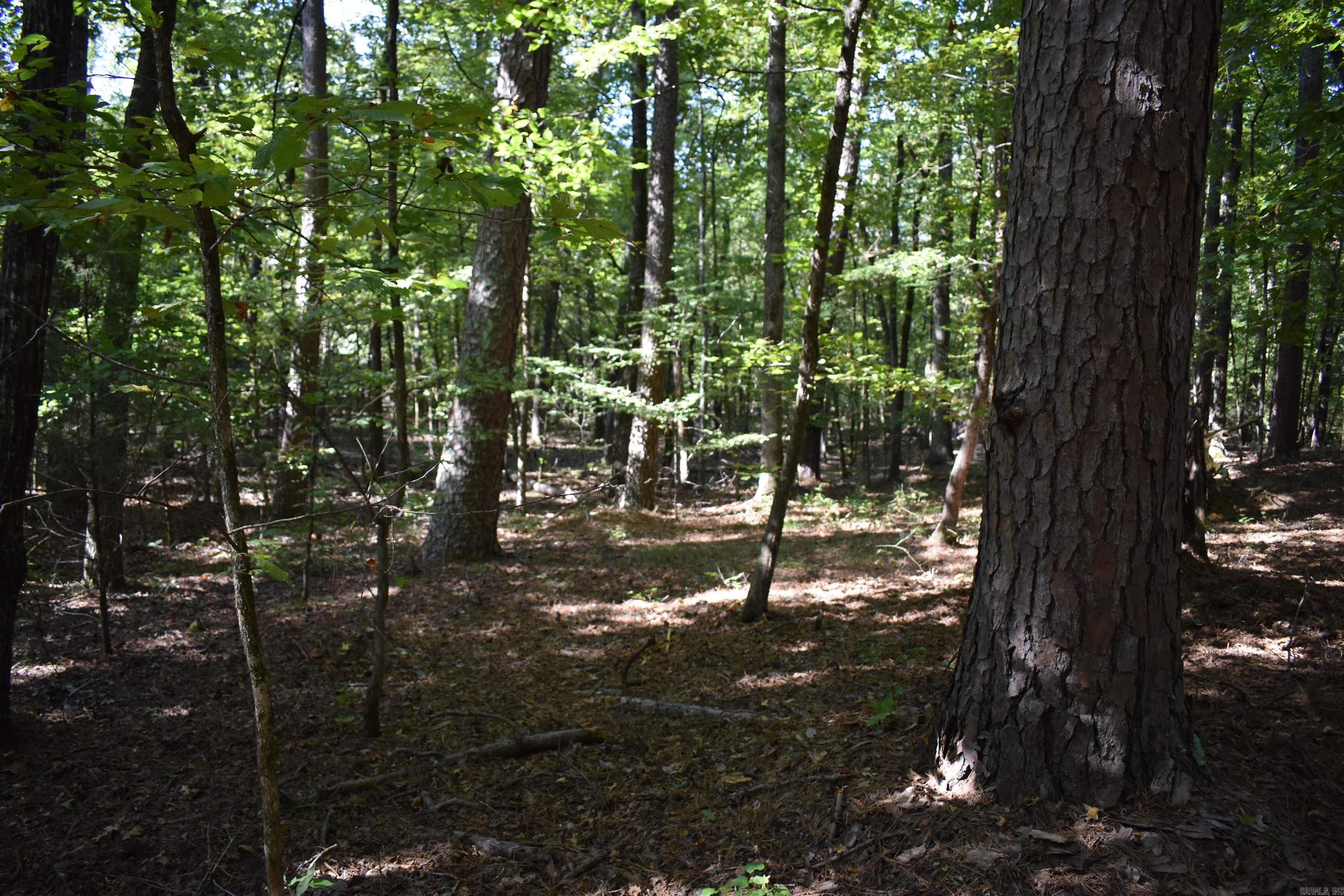 0000 Fs Rd 795 Property Photo 47