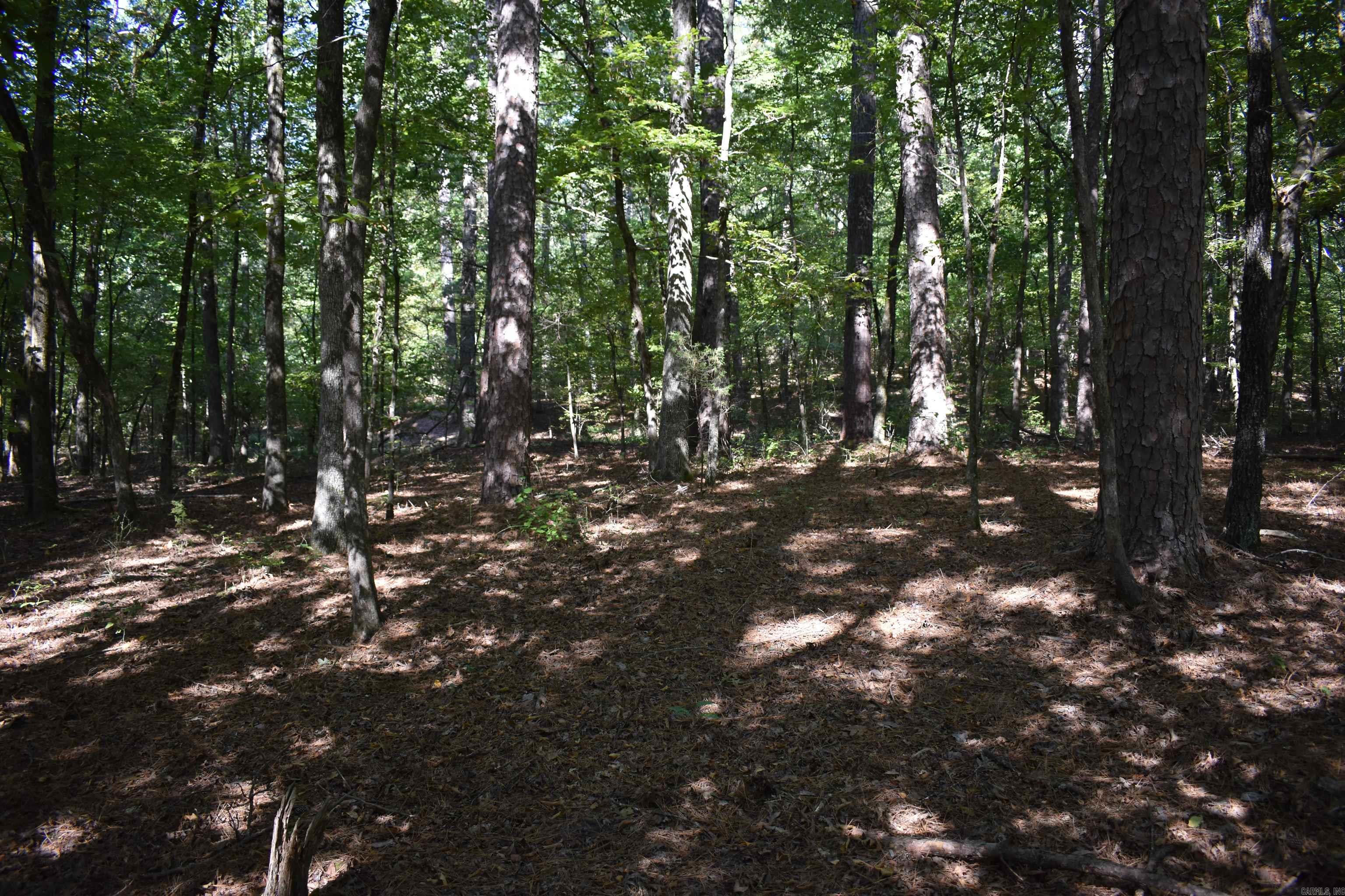 0000 Fs Rd 795 Property Photo 48