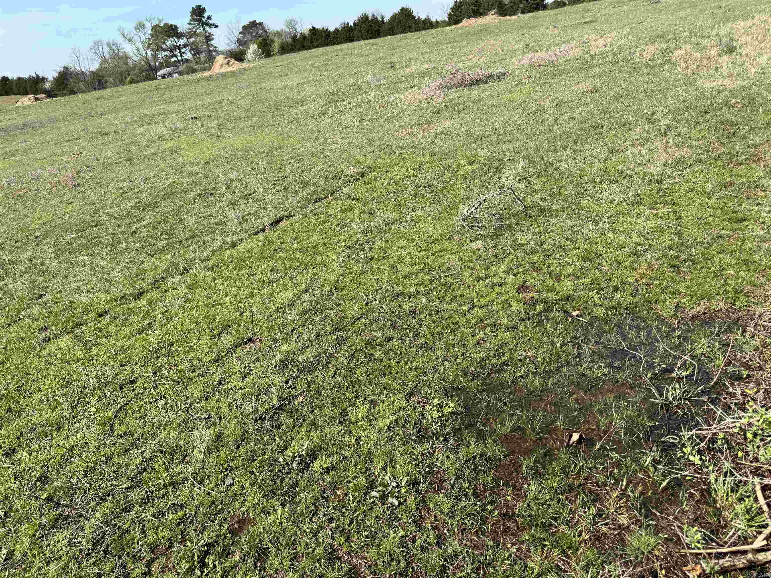 00 Crockett Road Property Photo 3