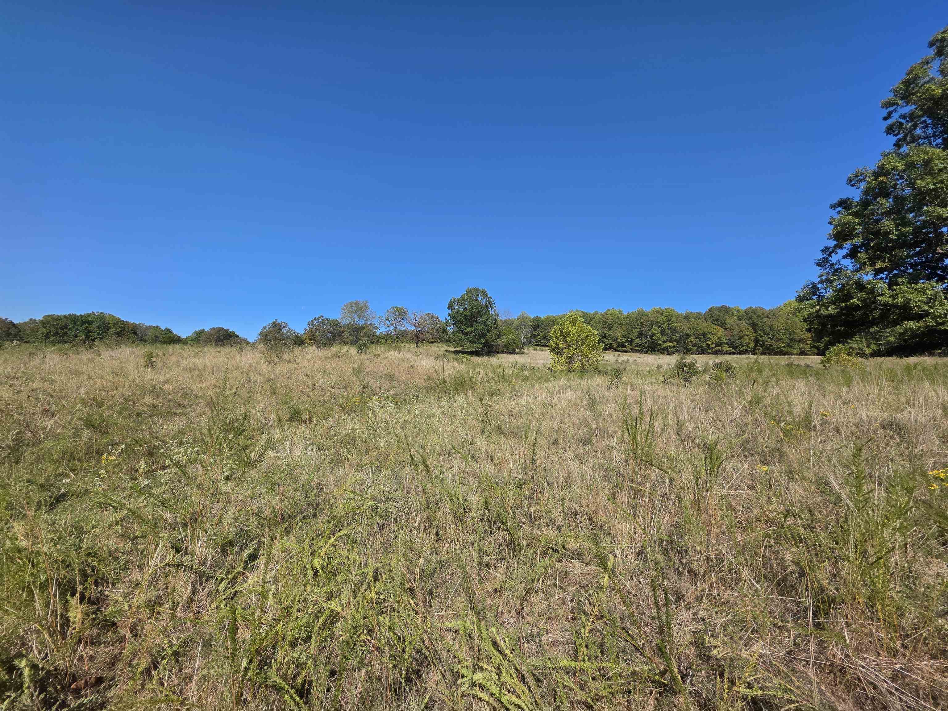 3013-3015 Possum Trot Road Property Photo 6