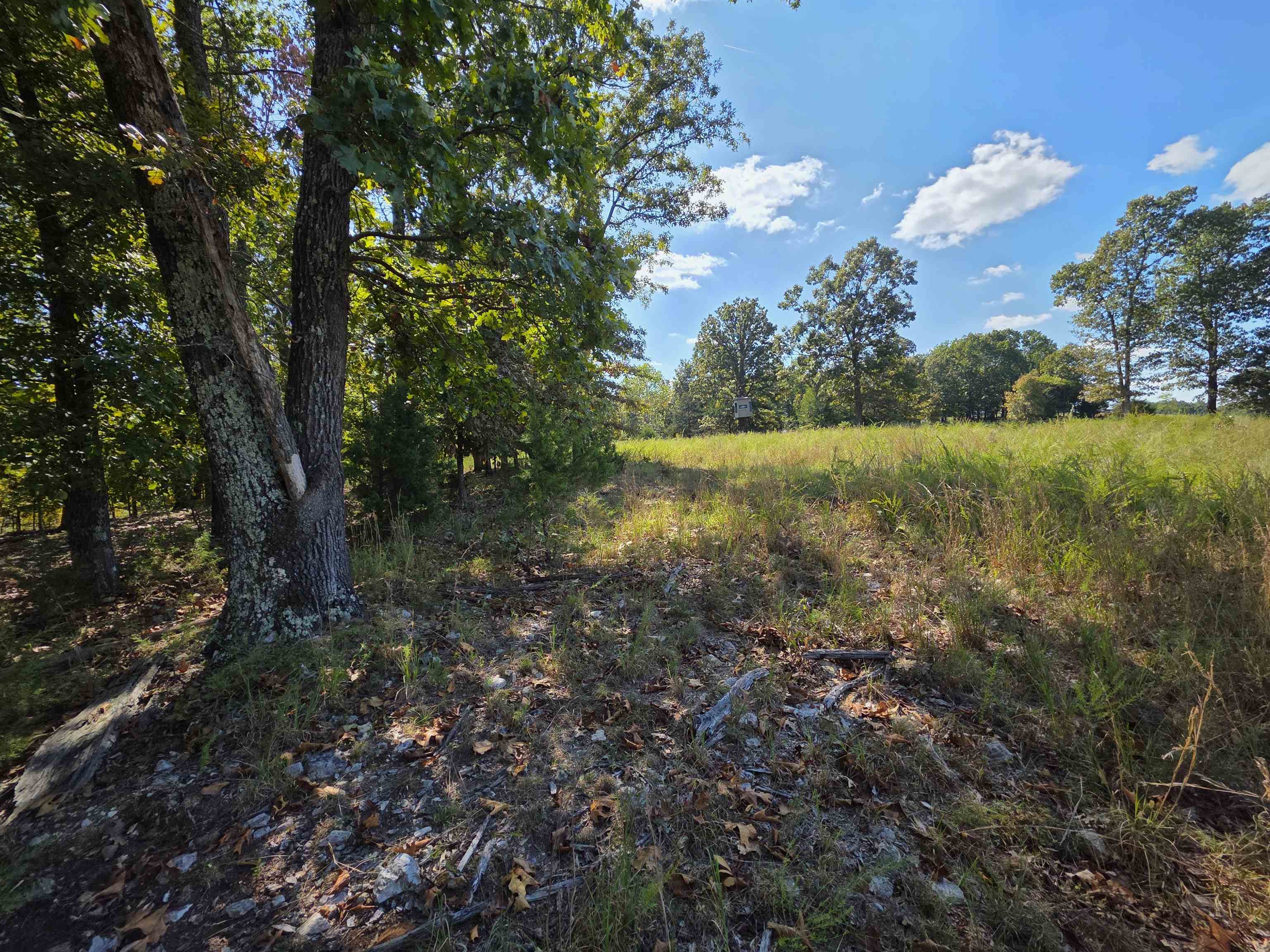 3013-3015 Possum Trot Road Property Photo 33