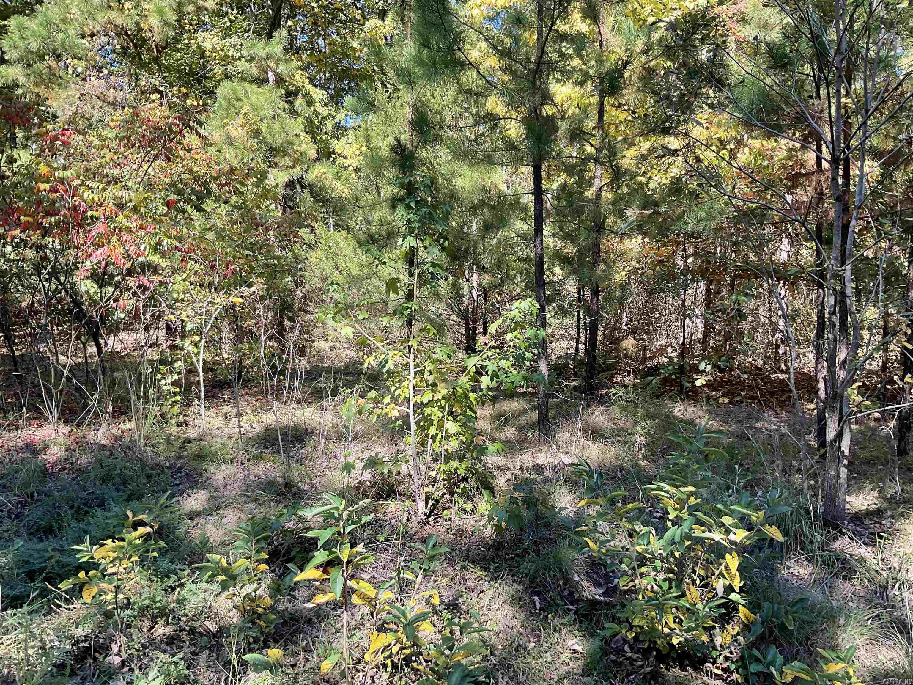 301-501 Meade Road Property Photo 4