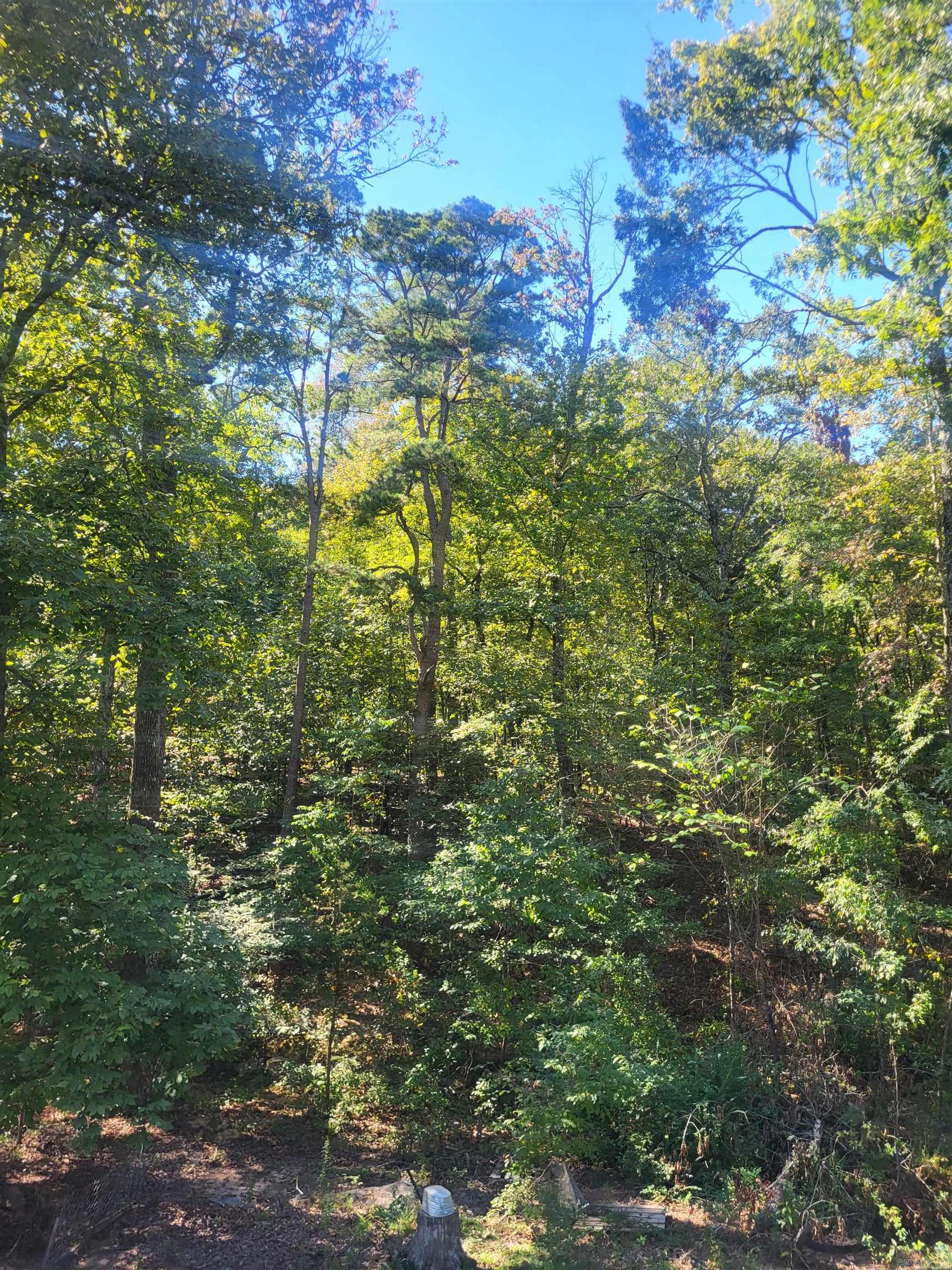 000 Coleman Avenue Property Photo 1
