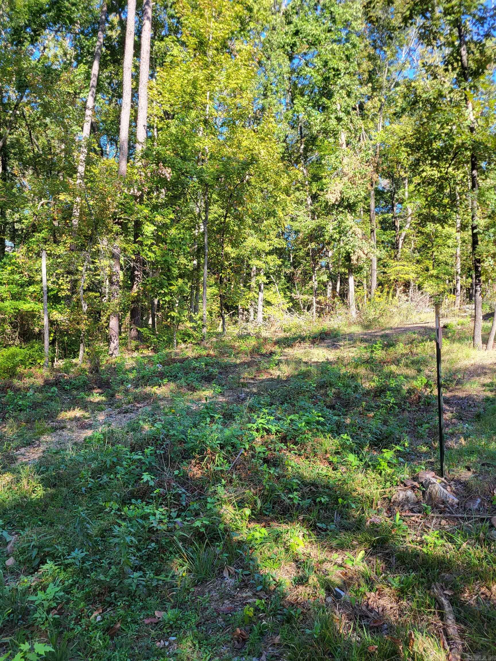 000 Coleman Avenue Property Photo 2