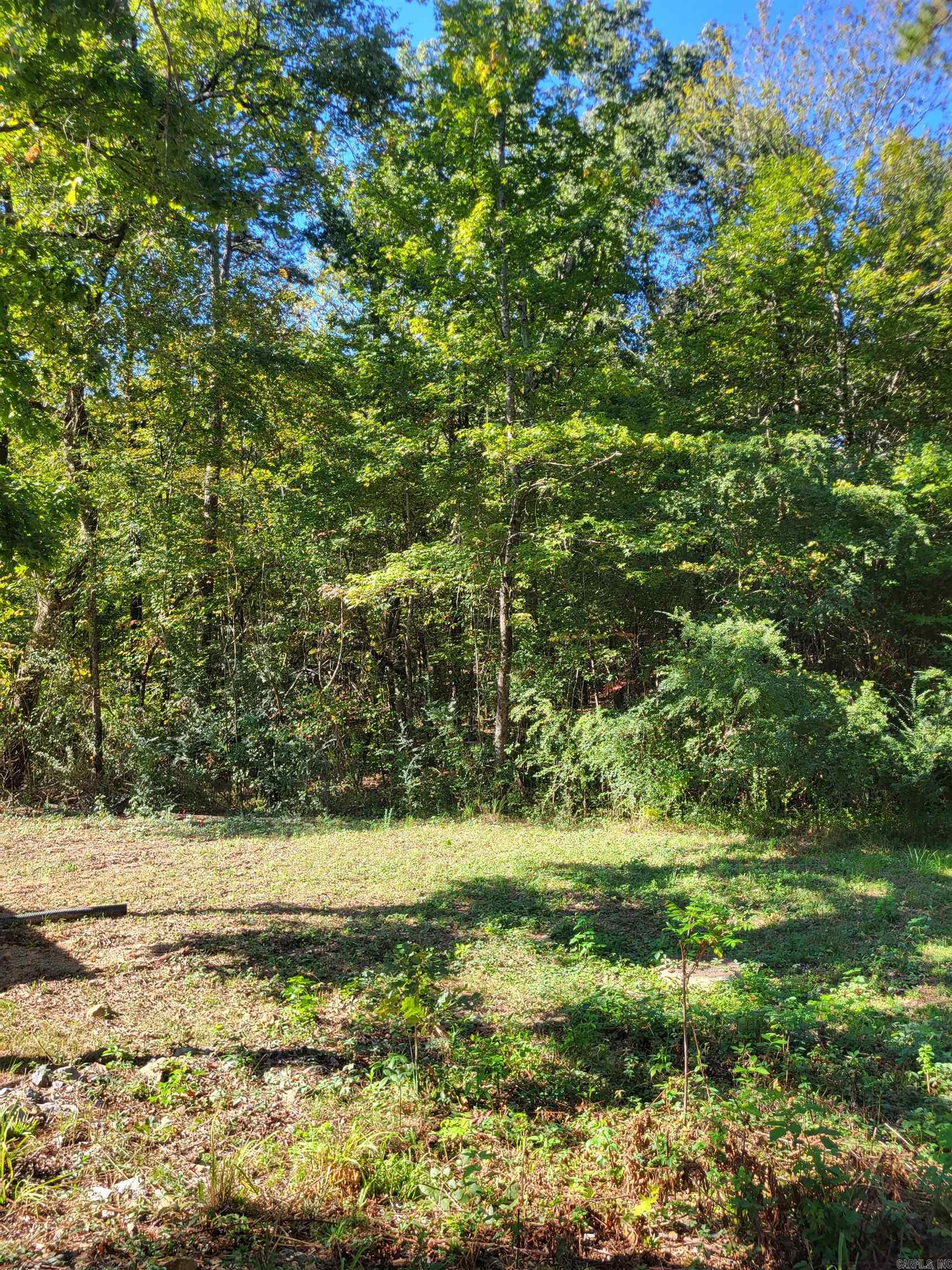 000 Coleman Avenue Property Photo 3