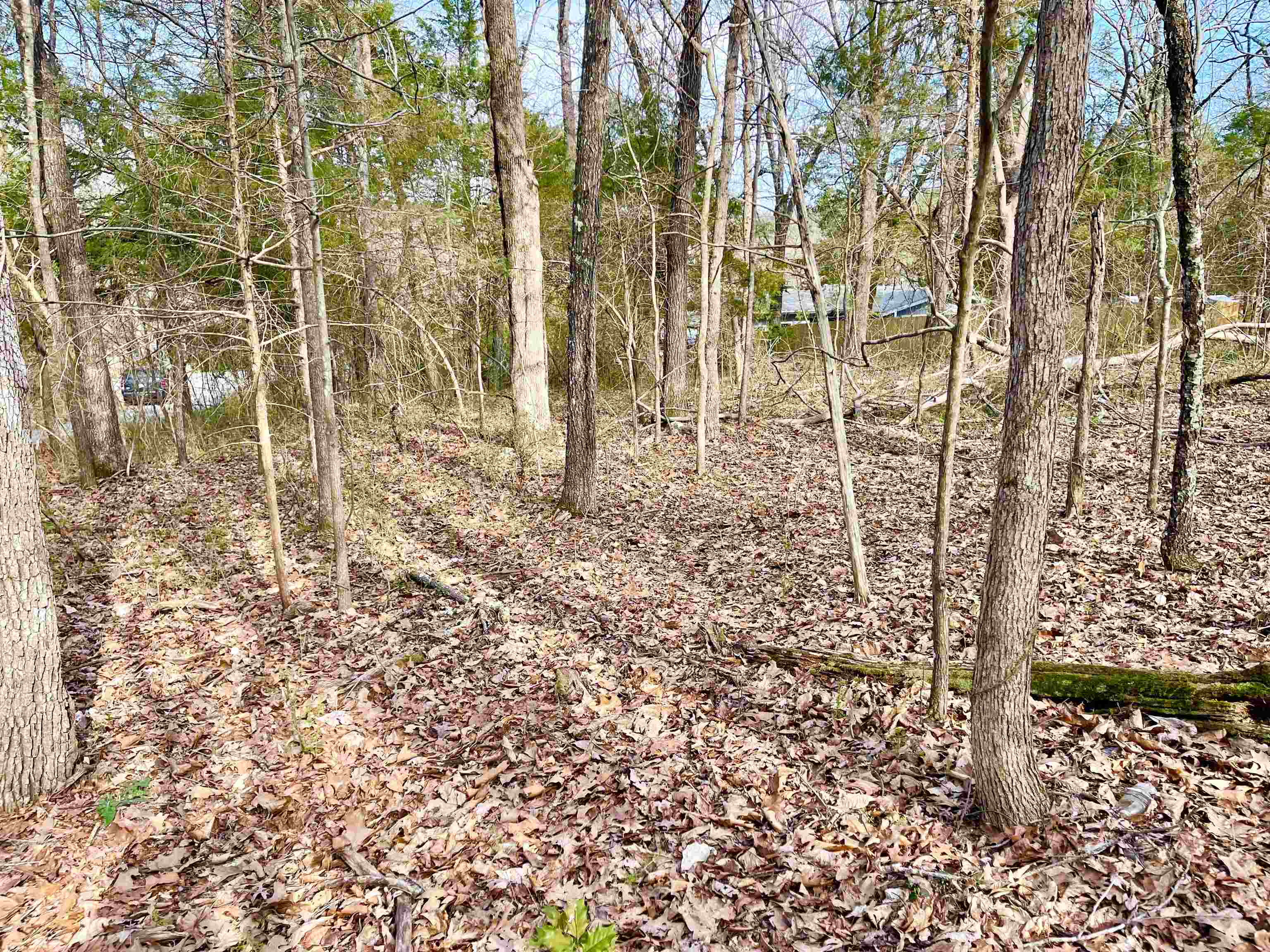 0 Nokomis Drive Property Photo 1