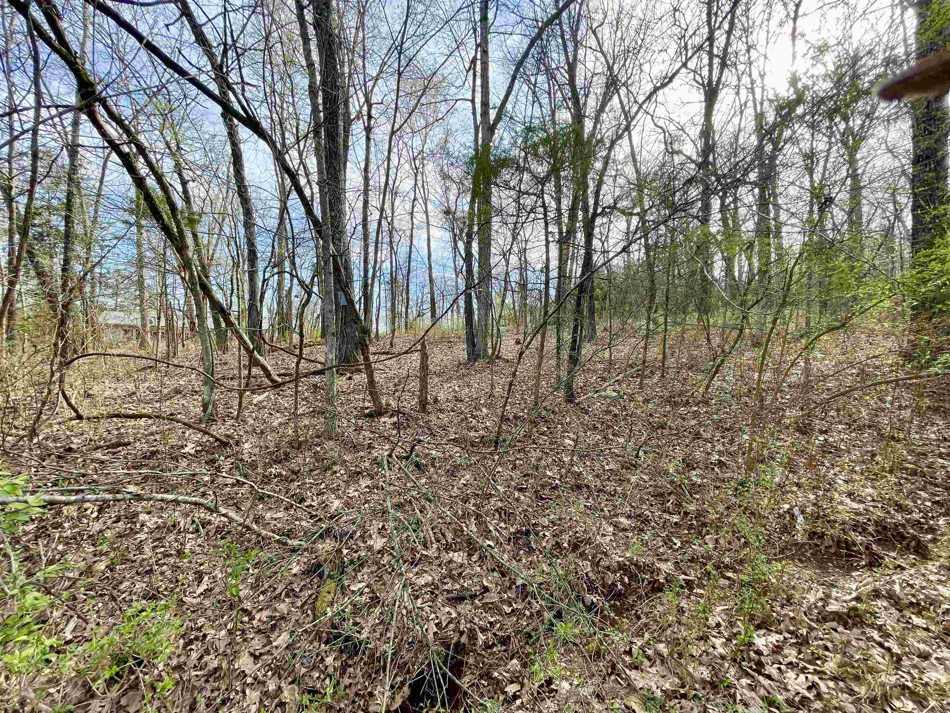 0 Nokomis Drive Property Photo 5
