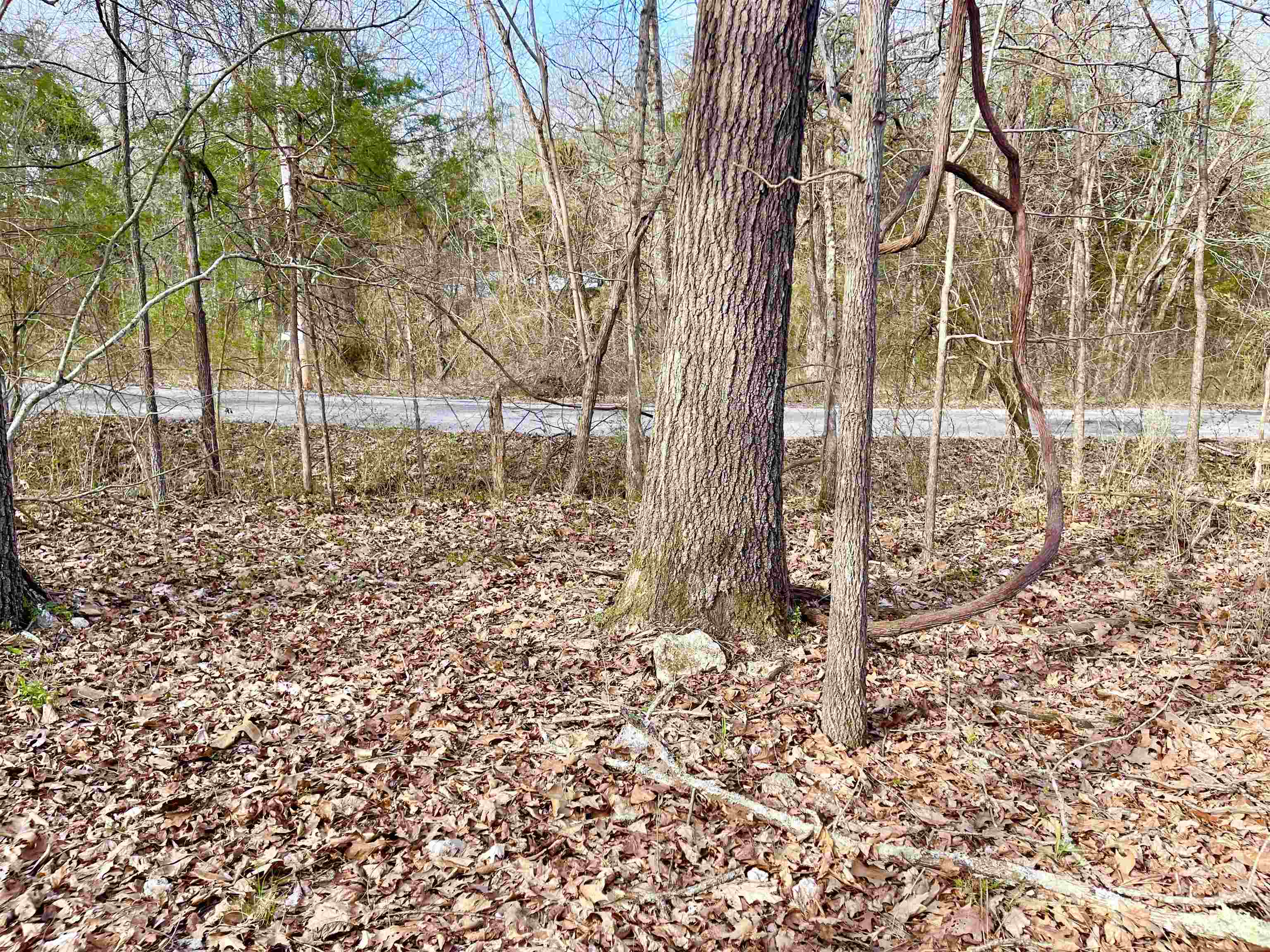 0 Nokomis Drive Property Photo 7