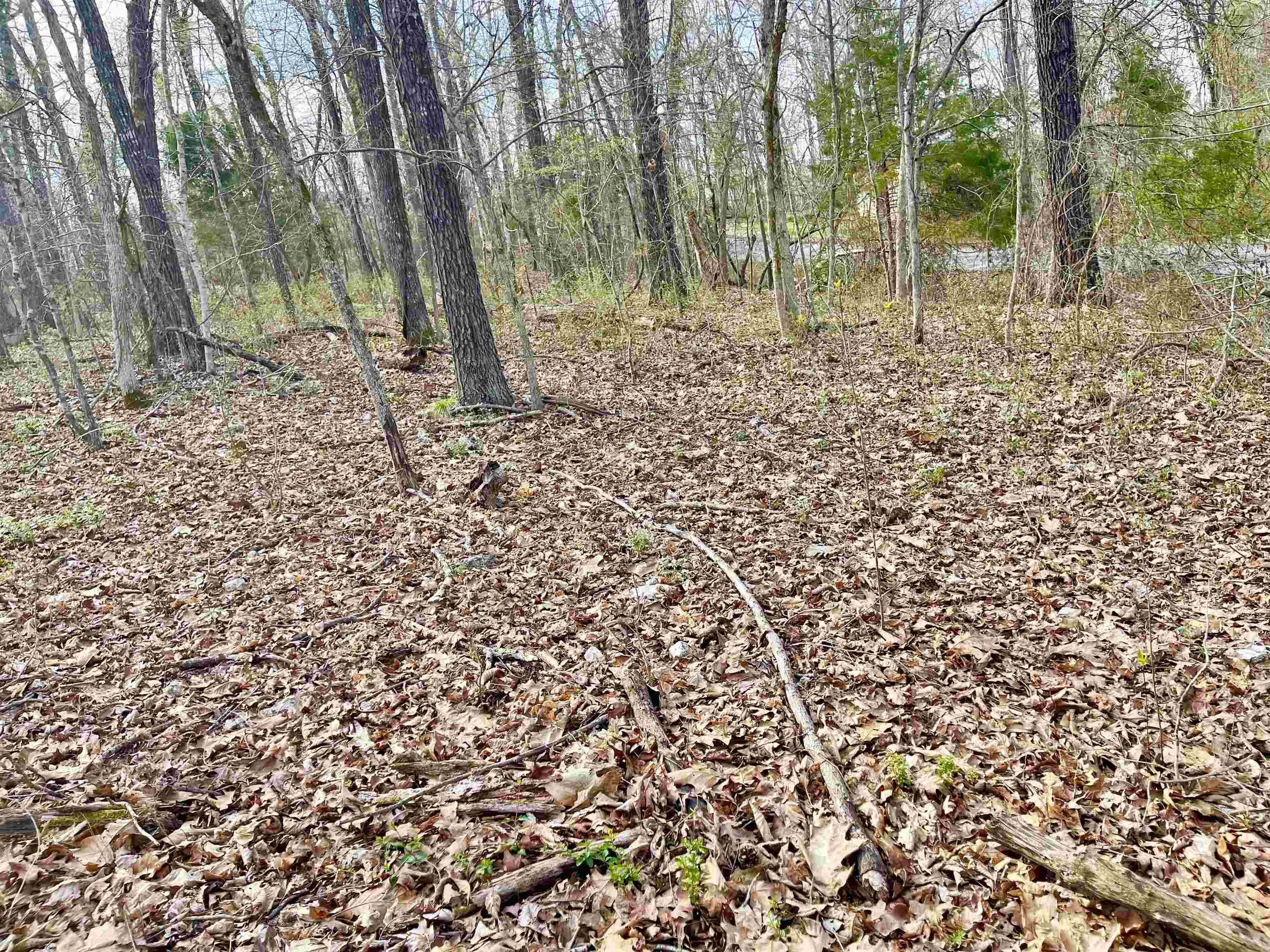 0 Nokomis Drive Property Photo 8