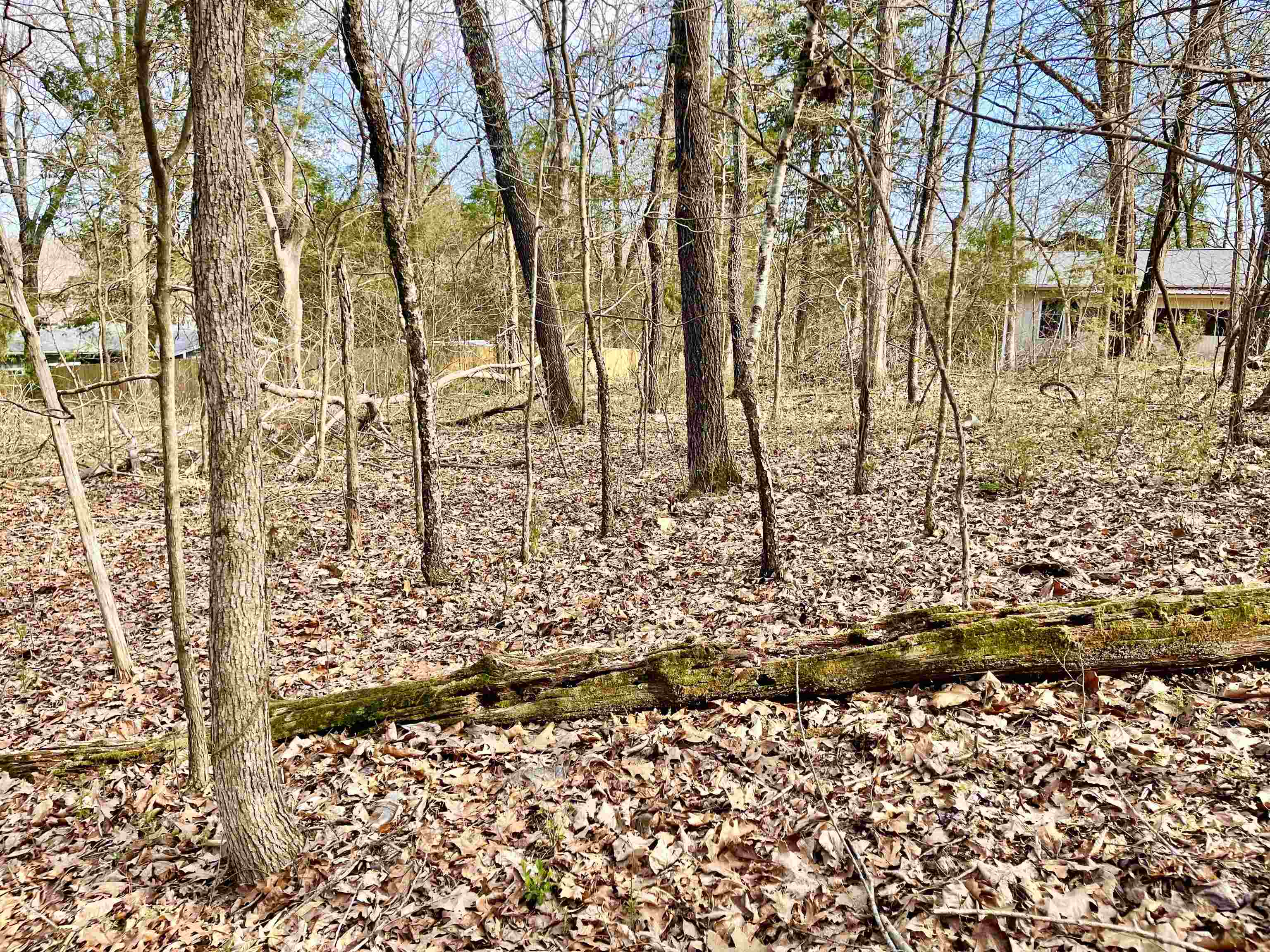 0 Nokomis Drive Property Photo 9