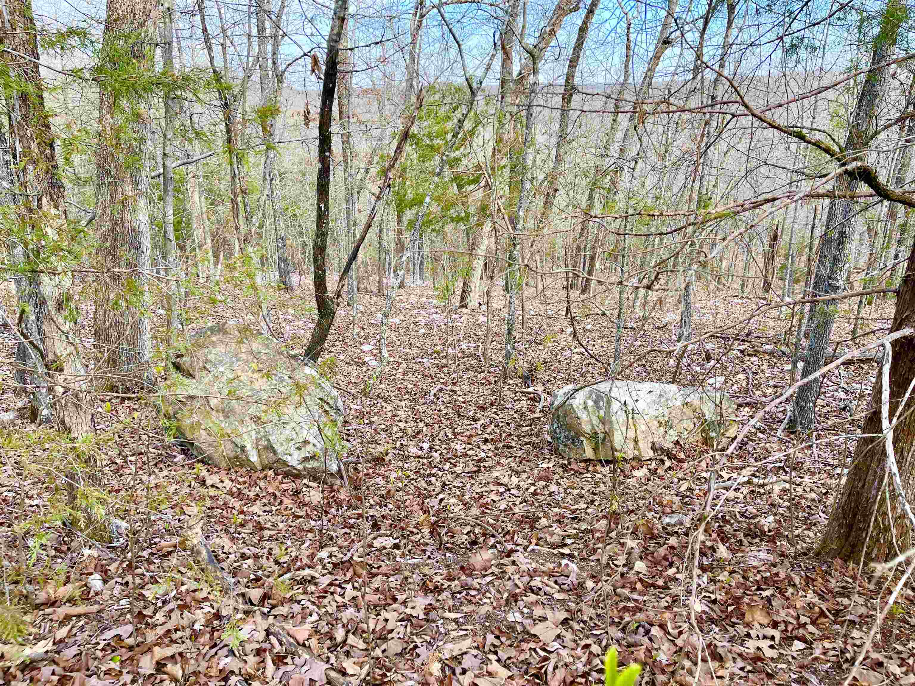 0 Coweta Drive Property Photo 2