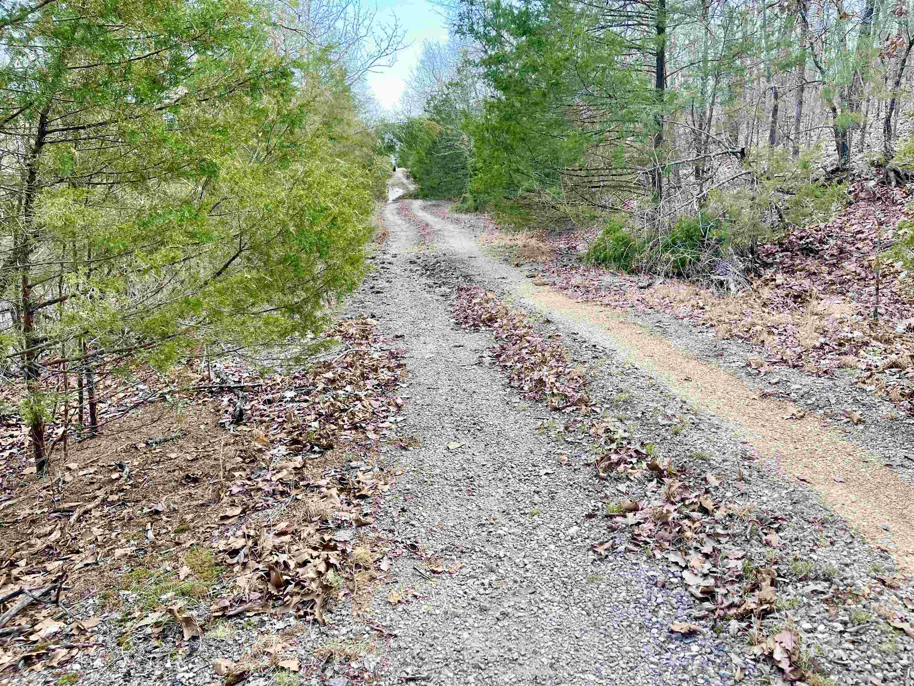 0 Coweta Drive Property Photo 3